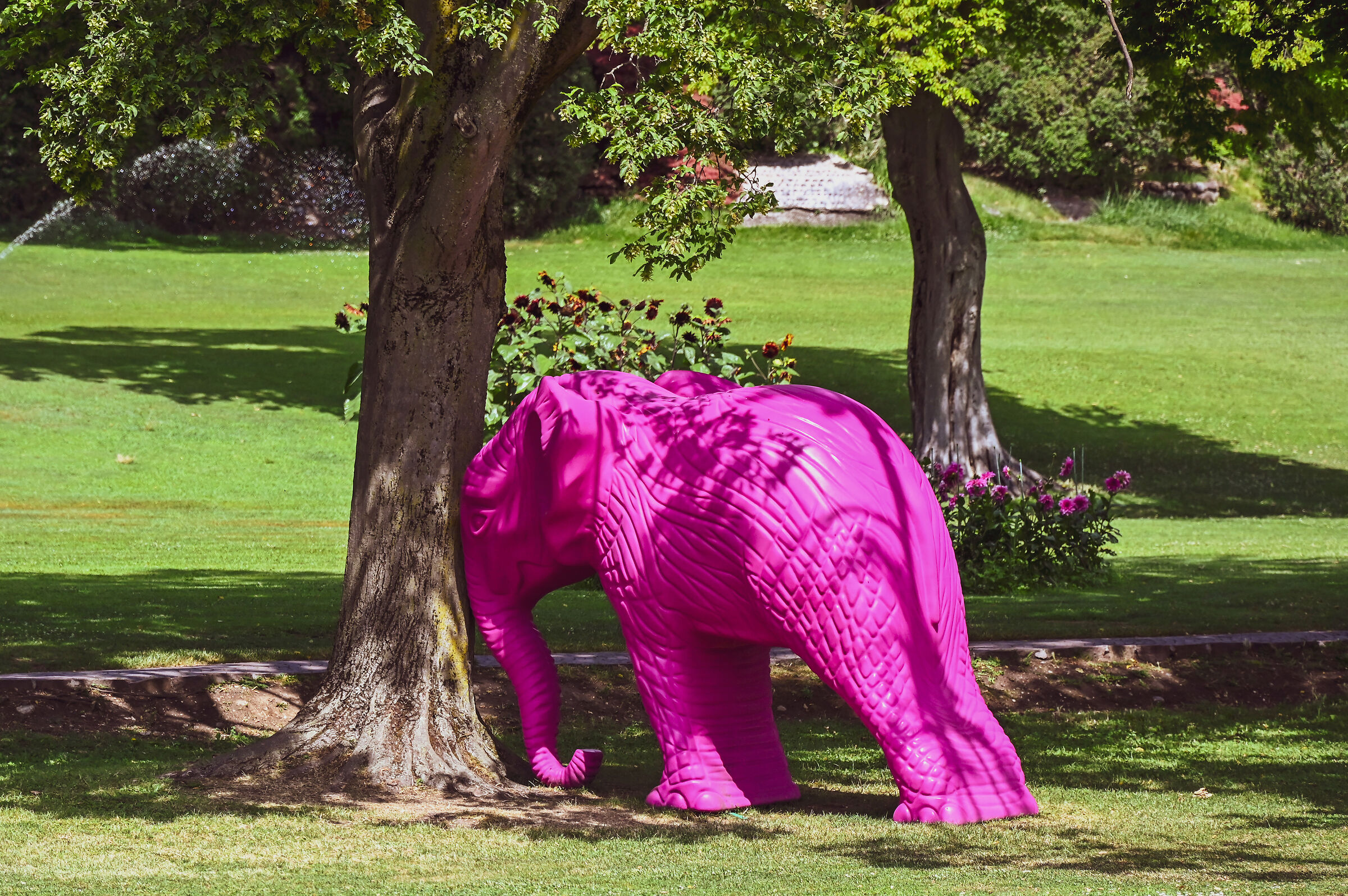 Niente paura. Lo tengo su io!