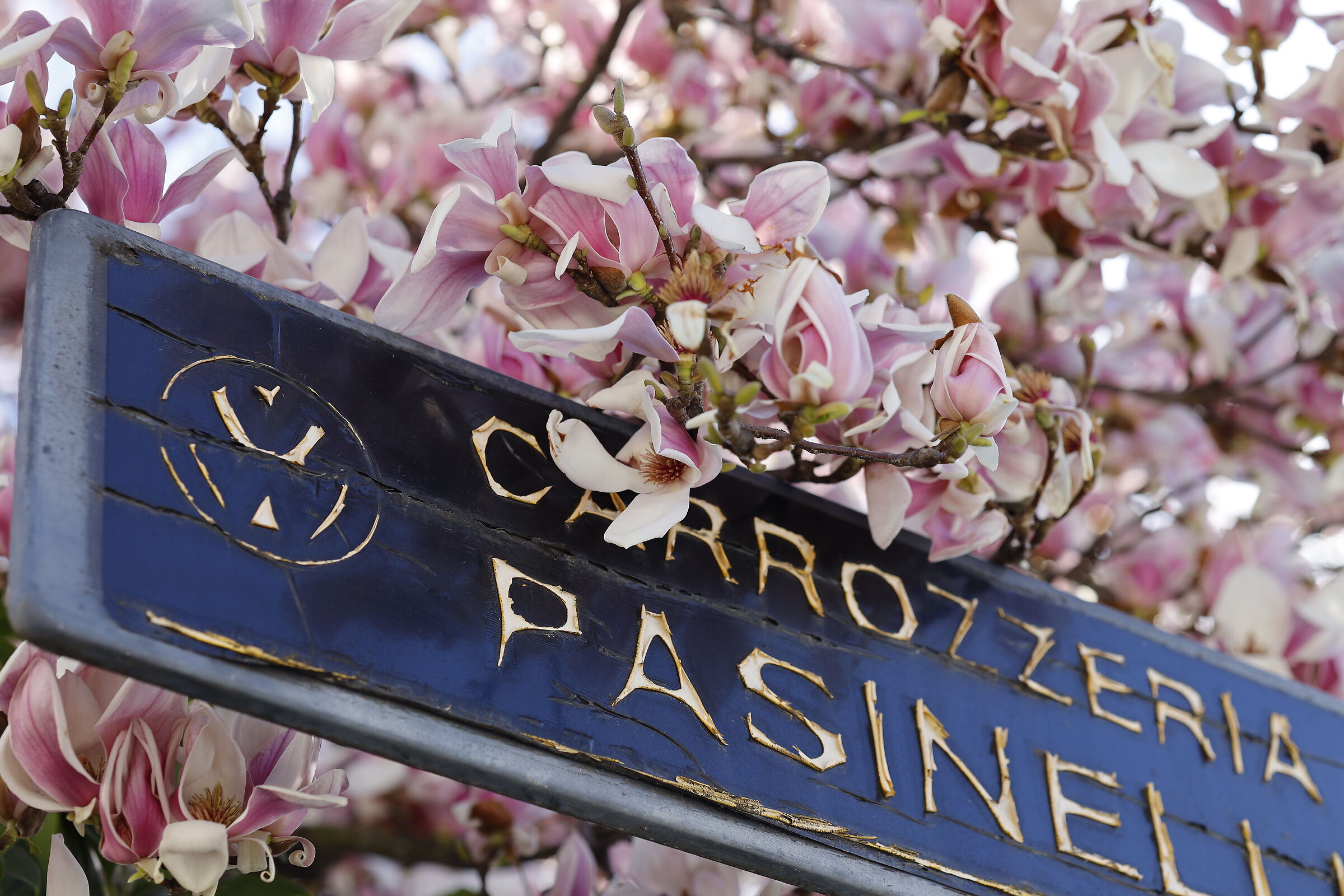 La natura si risveglia!