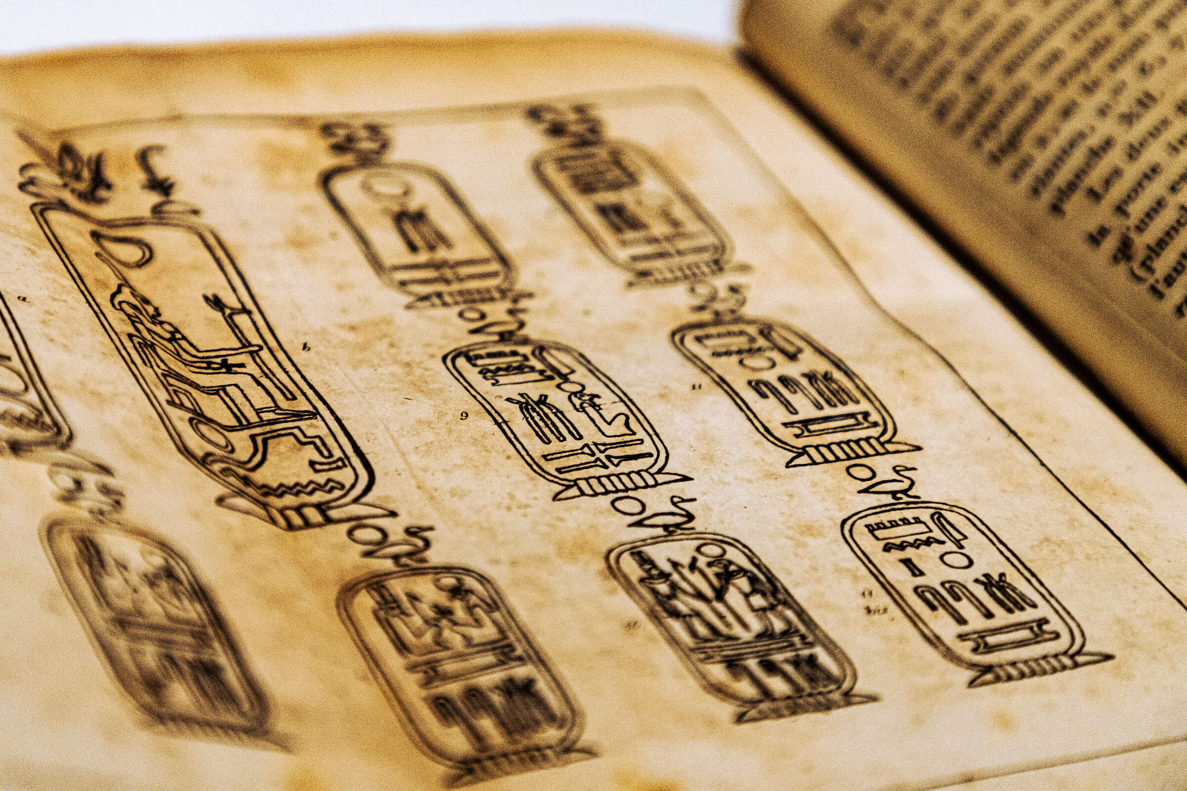 Turin - Turin - Egyptian Museum IV