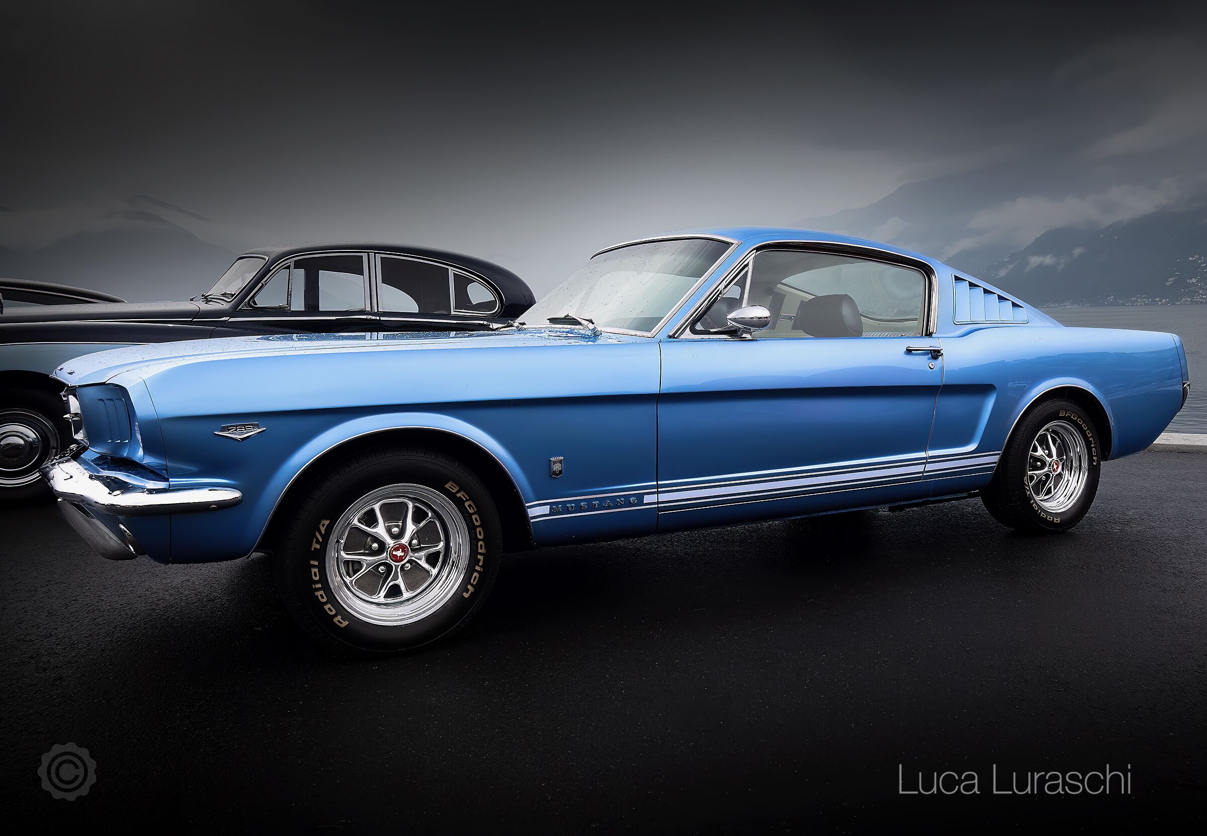 Mustang