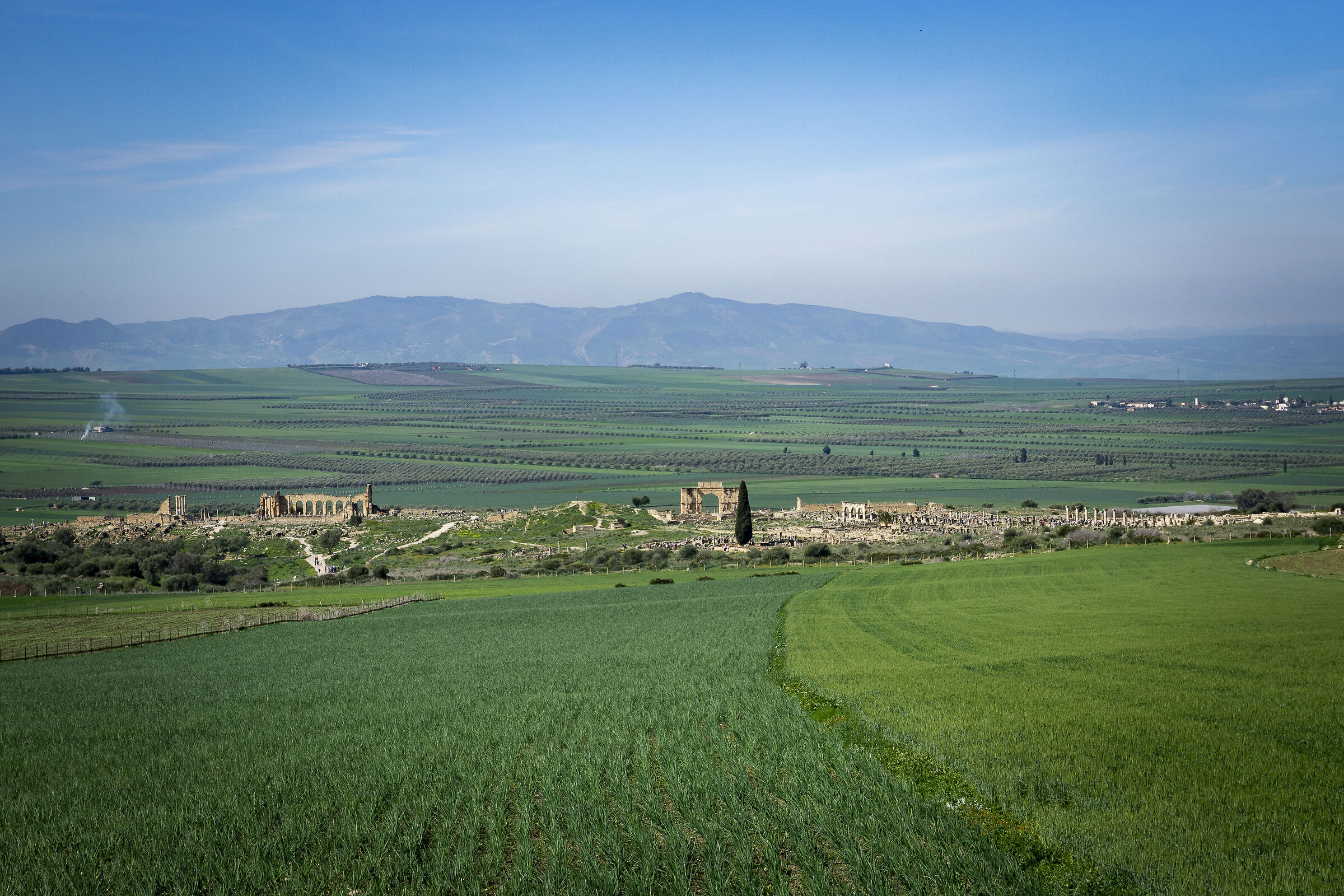Sito archeologico di Volubilis (Marocco)