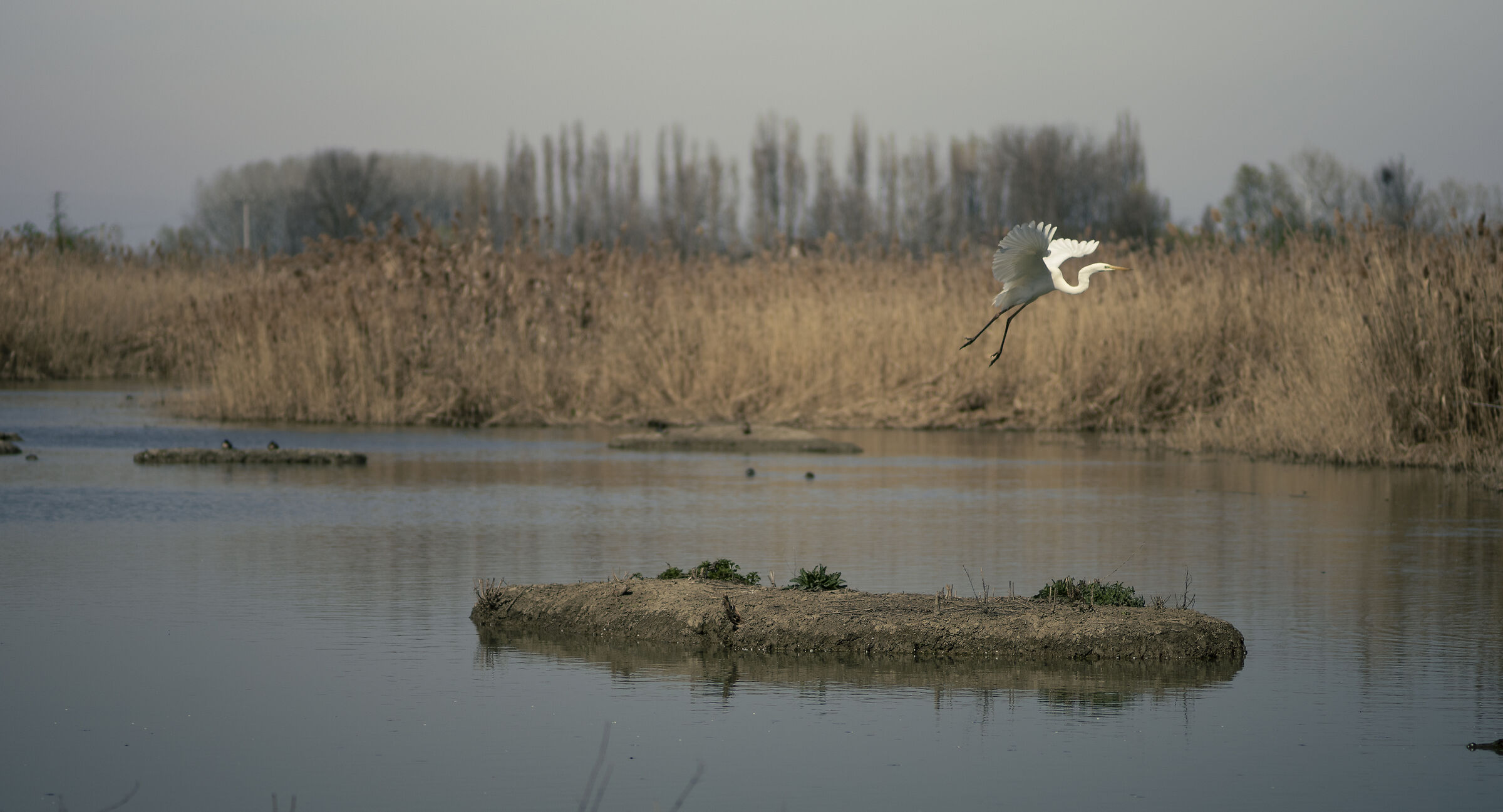 Take off