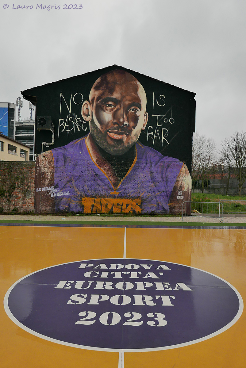 No basketball is too far ...