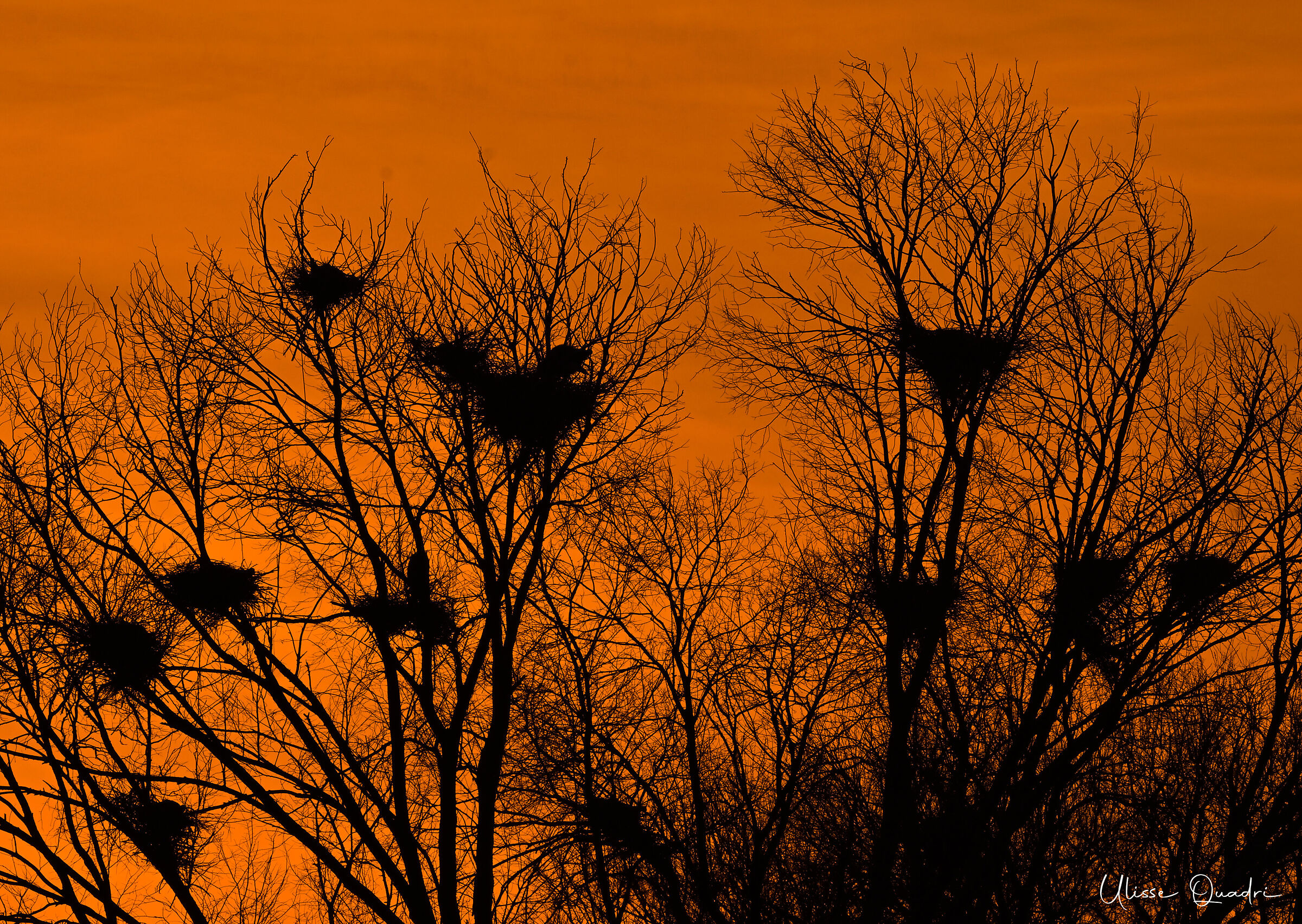 Vivere in condominio