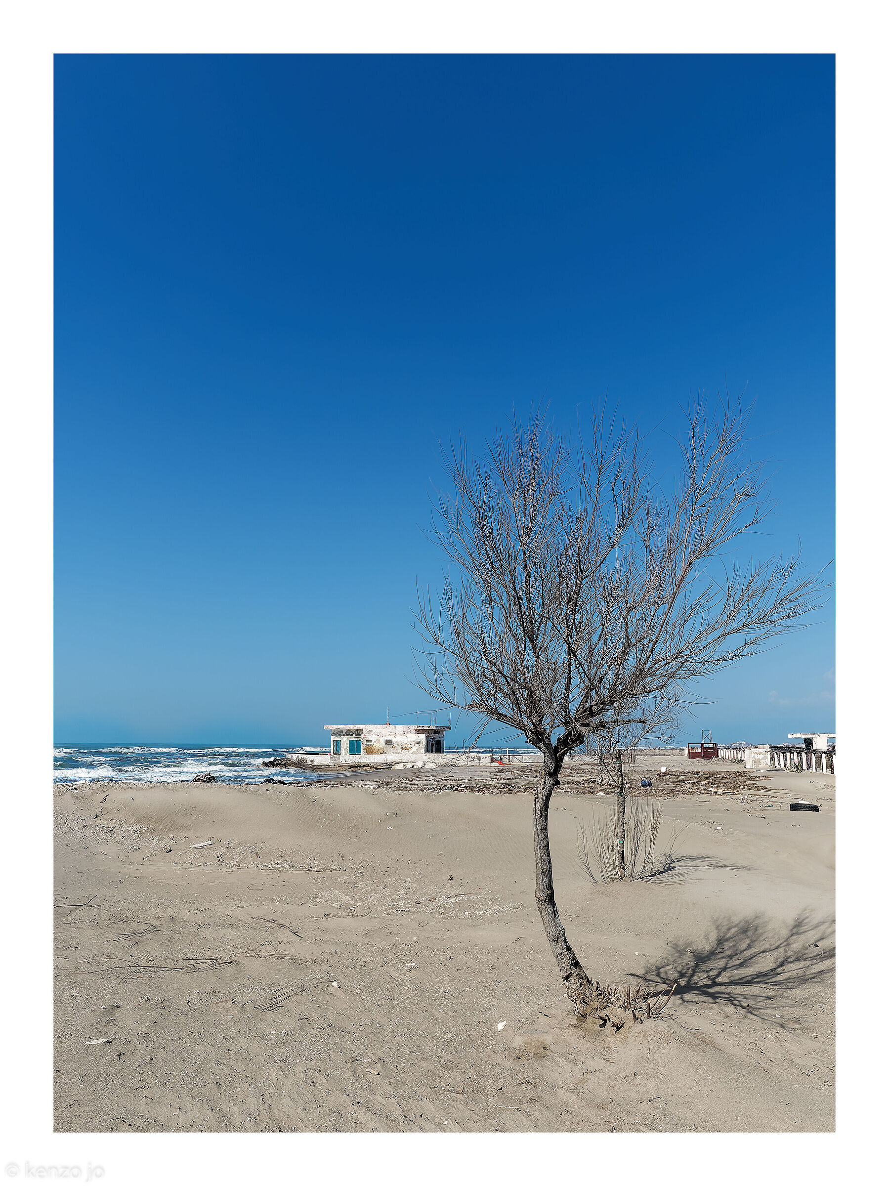 When we are extinct...