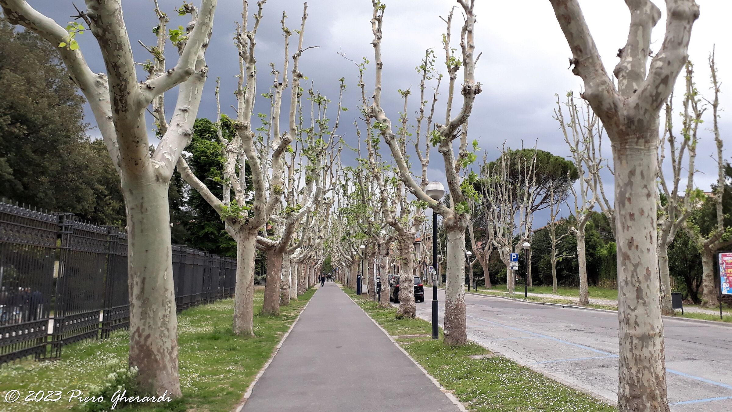 Viaggi