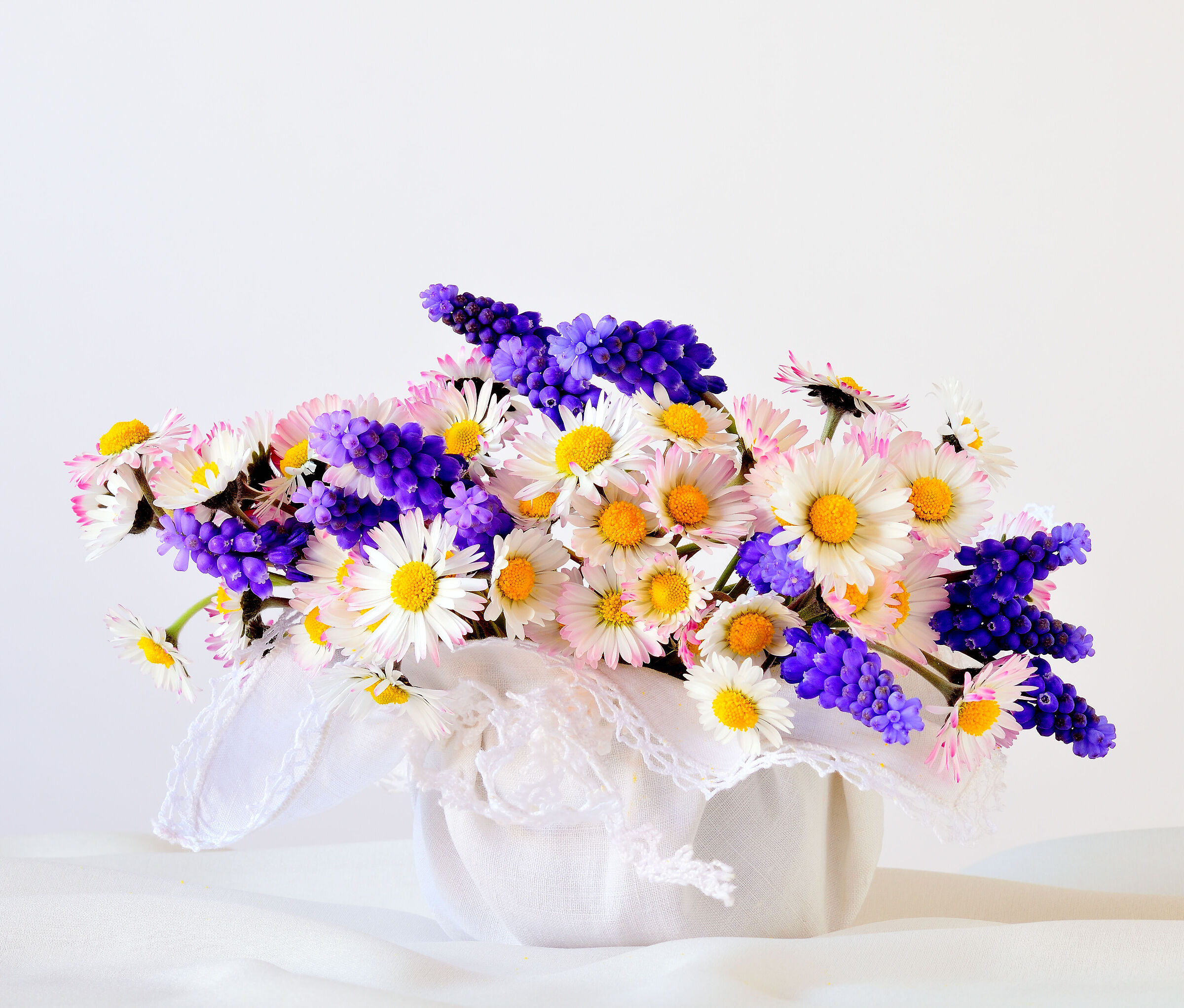 muscari e margherite