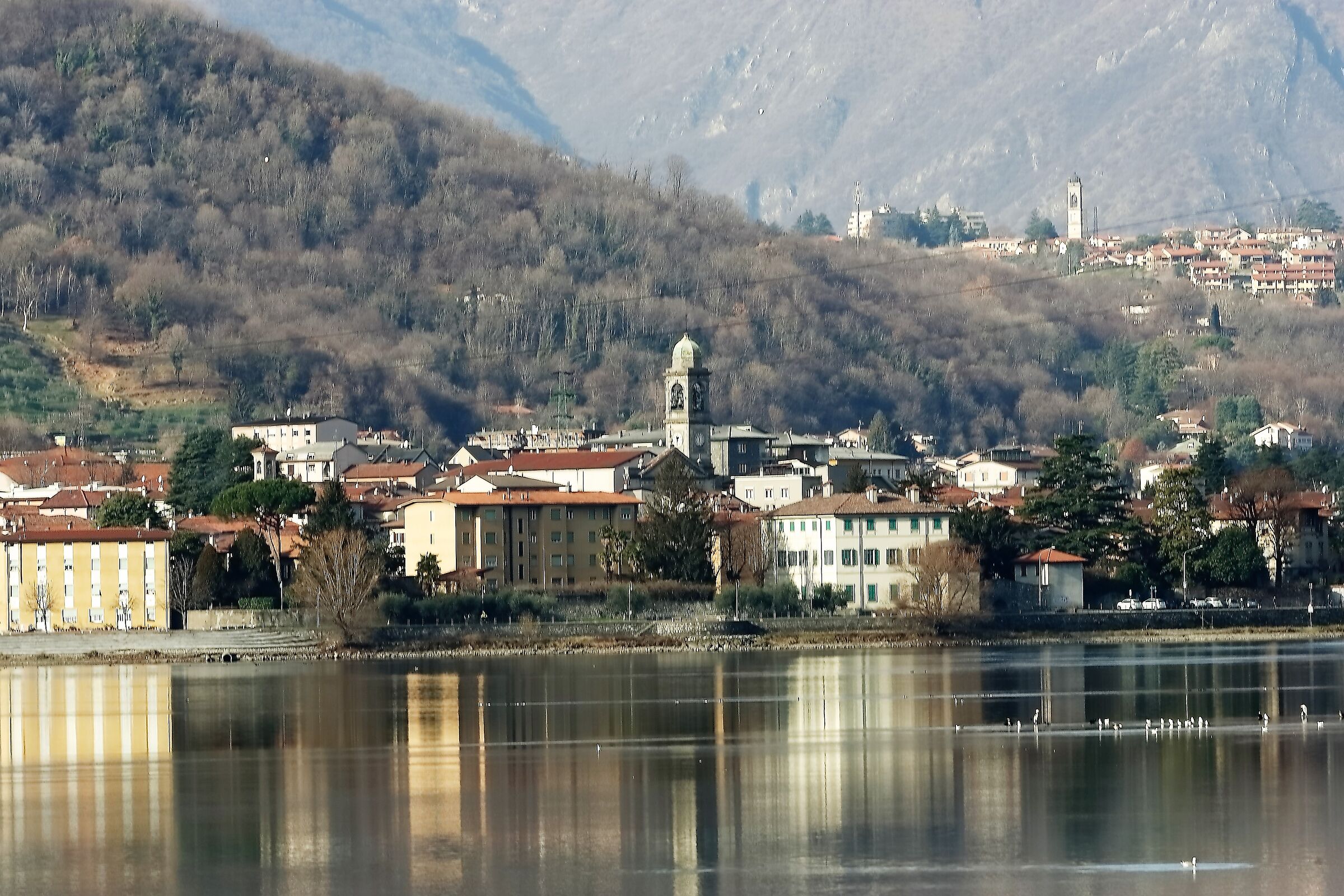 Campanili 14 gennaio 2023