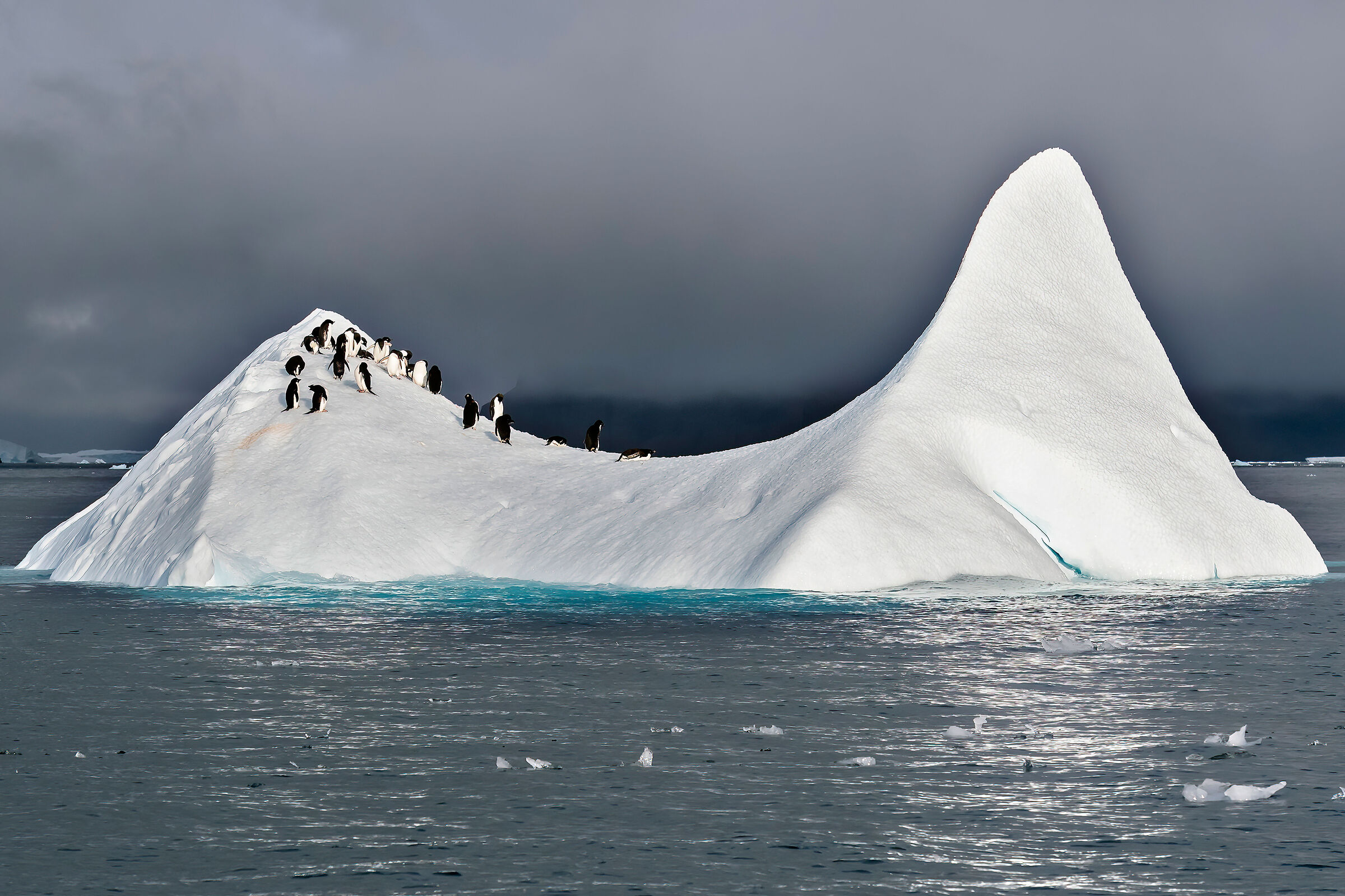 Pinguini su iceberg
