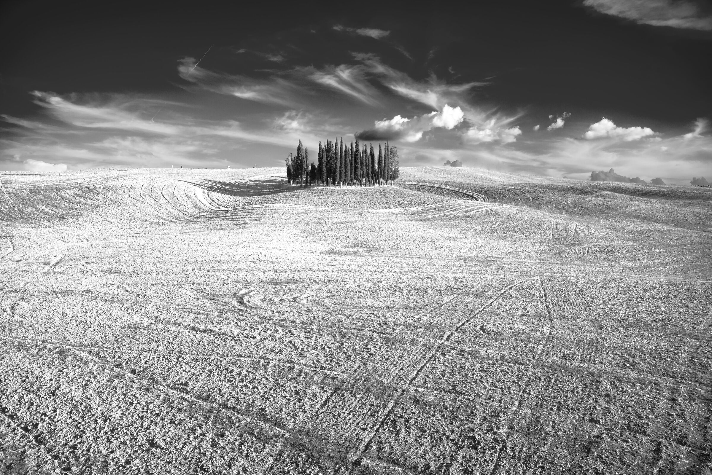 Cerchio dei cipressi B&W