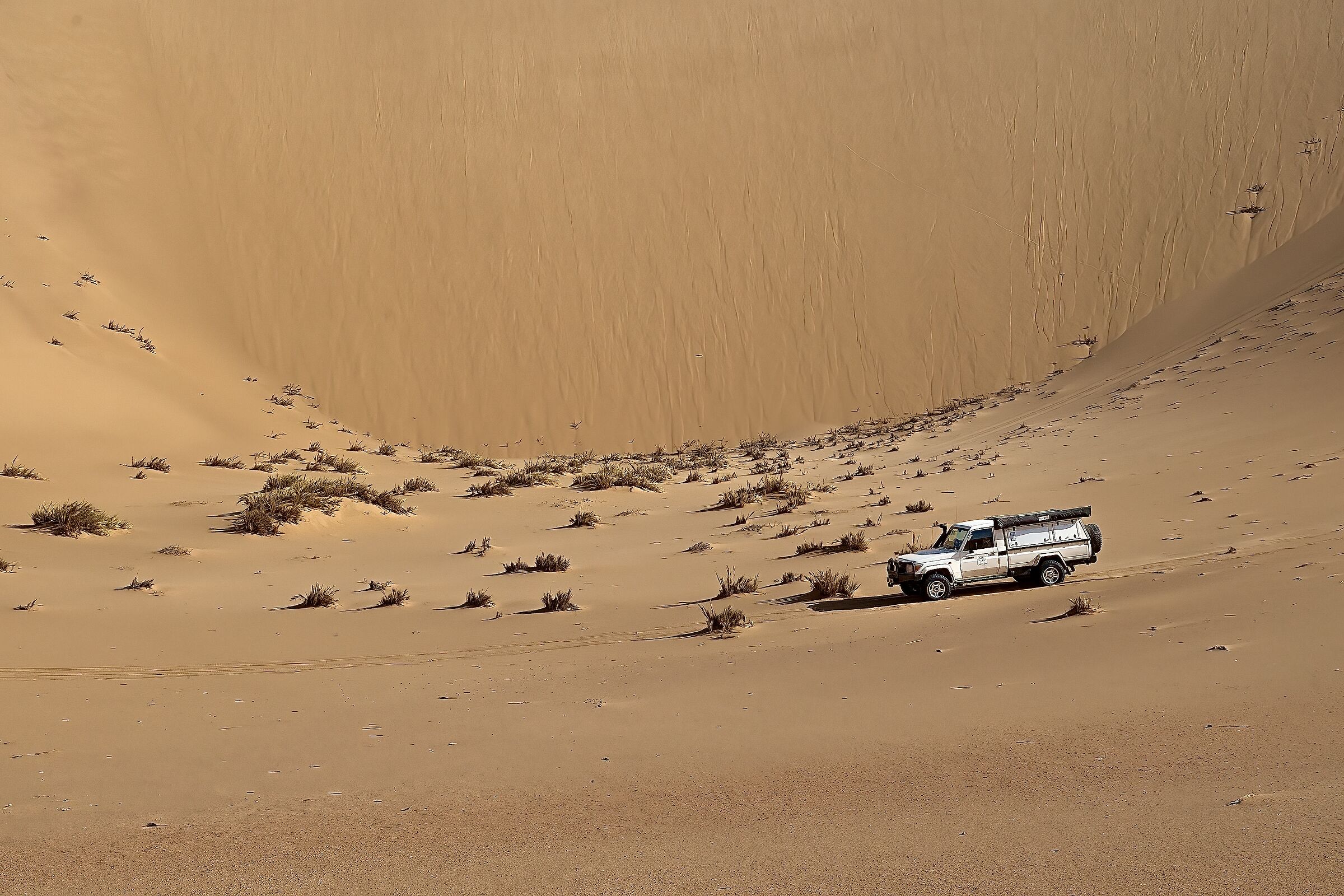 Le forme del deserto