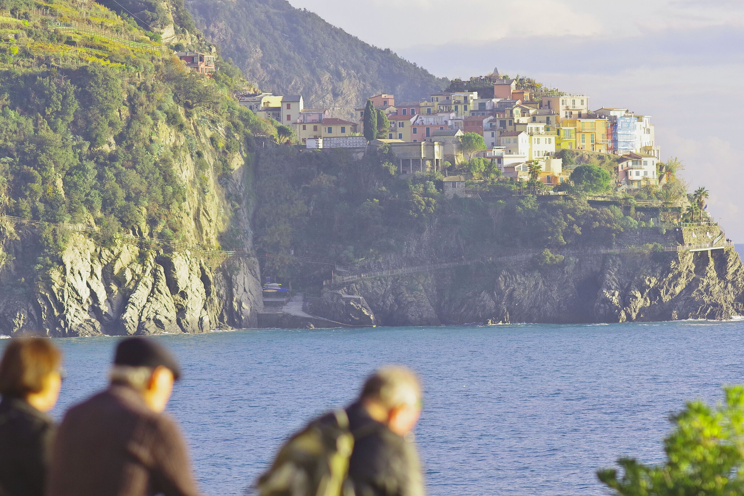 Manarola view