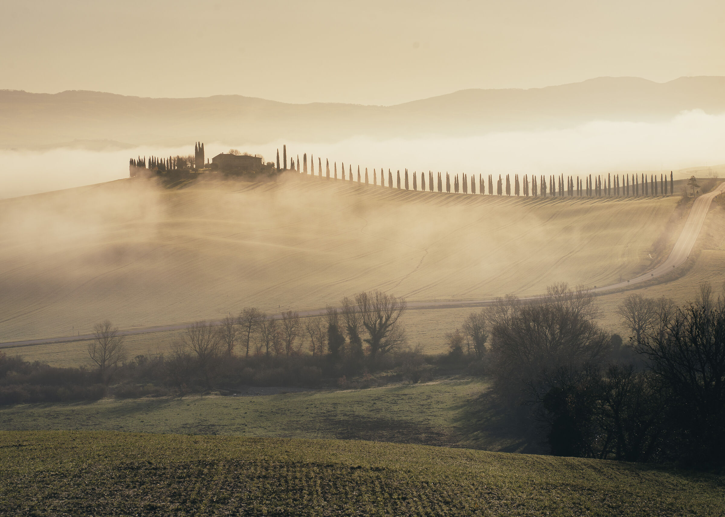 Sea bream fog at Poggio Covili