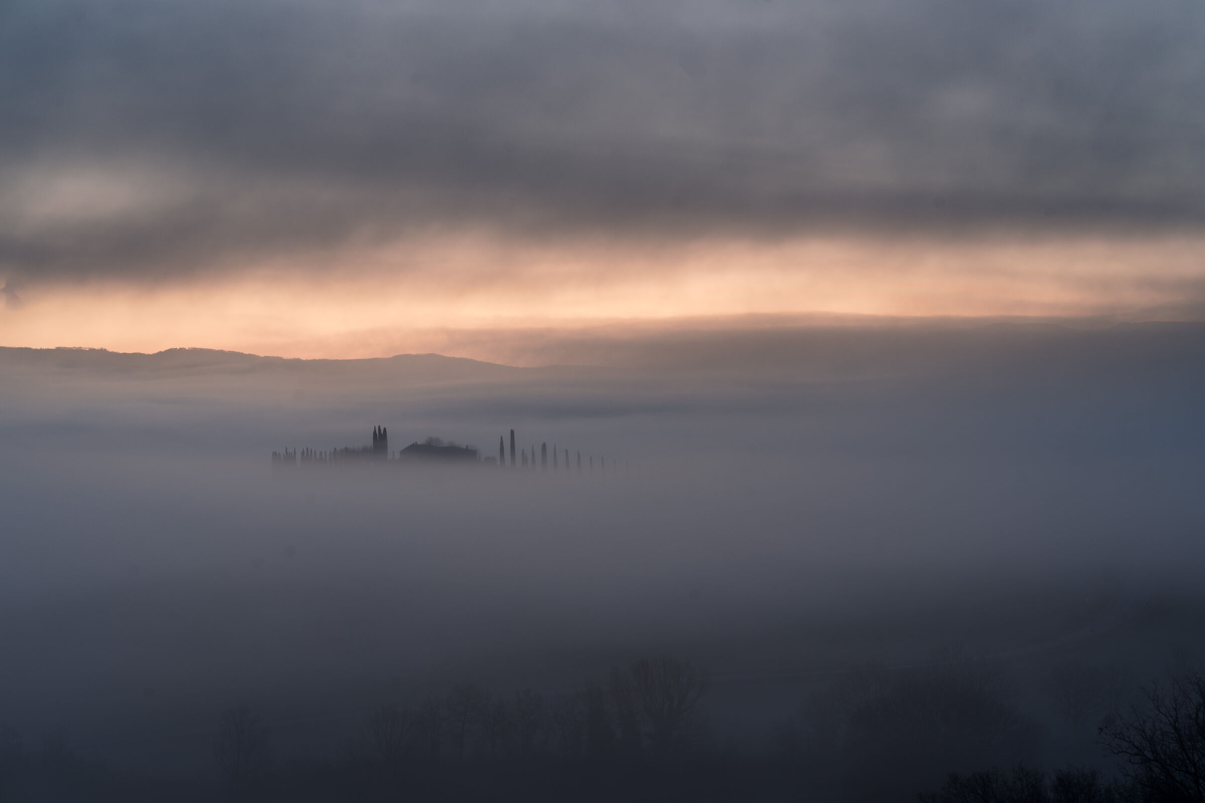Nebbia all'alba a Poggio Covili