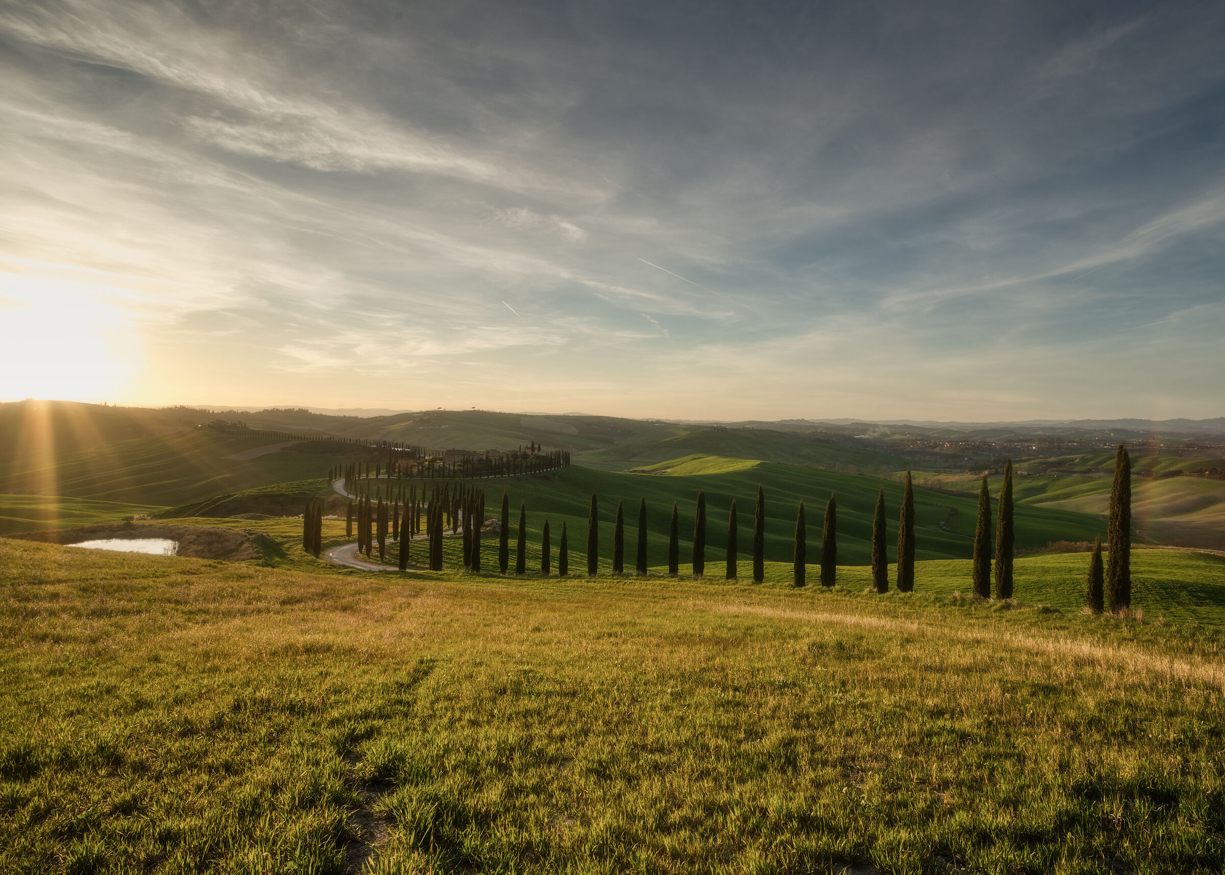 Baccoleno