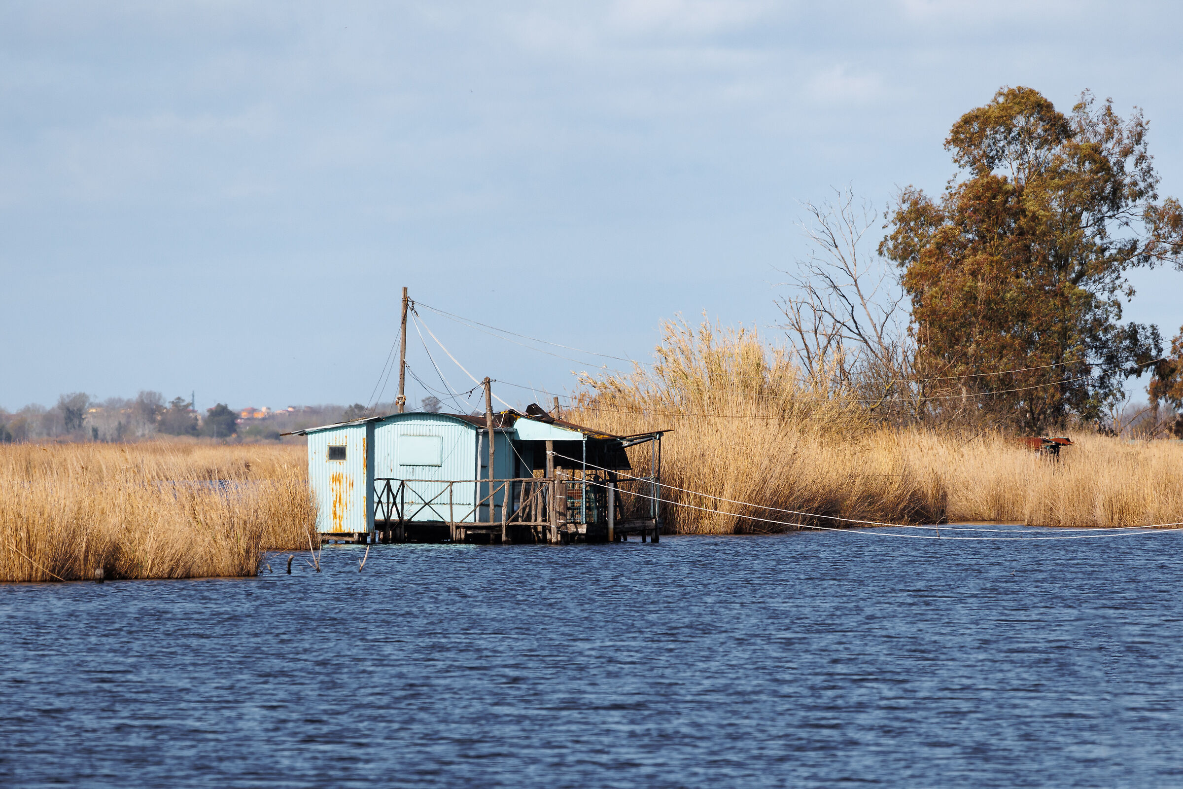Walking from Massarosa to Massaciuccoli - 1