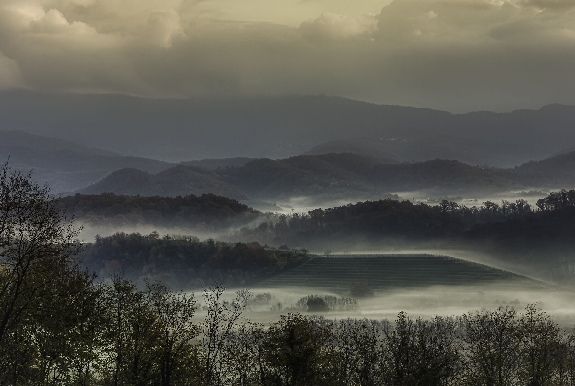 Alba nebbiosa sul Collio