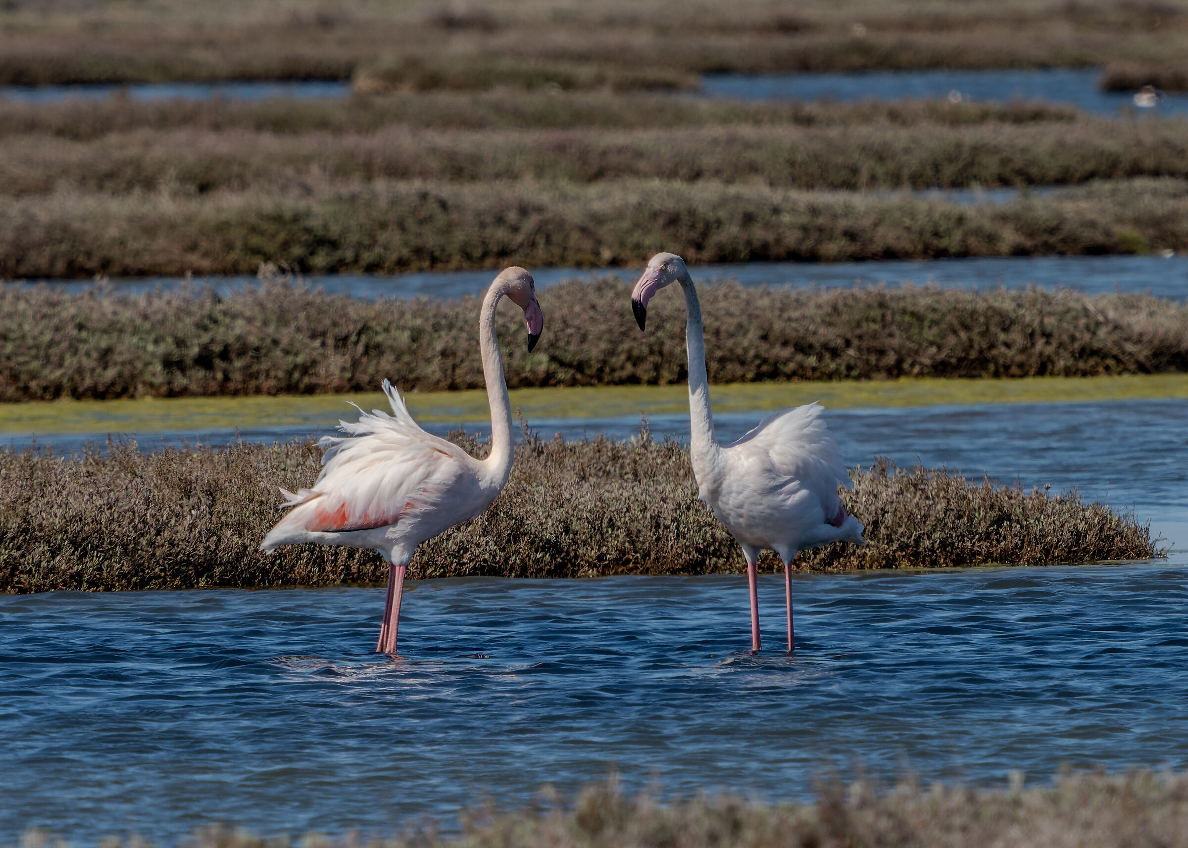 Dr Livingstone, I suppose