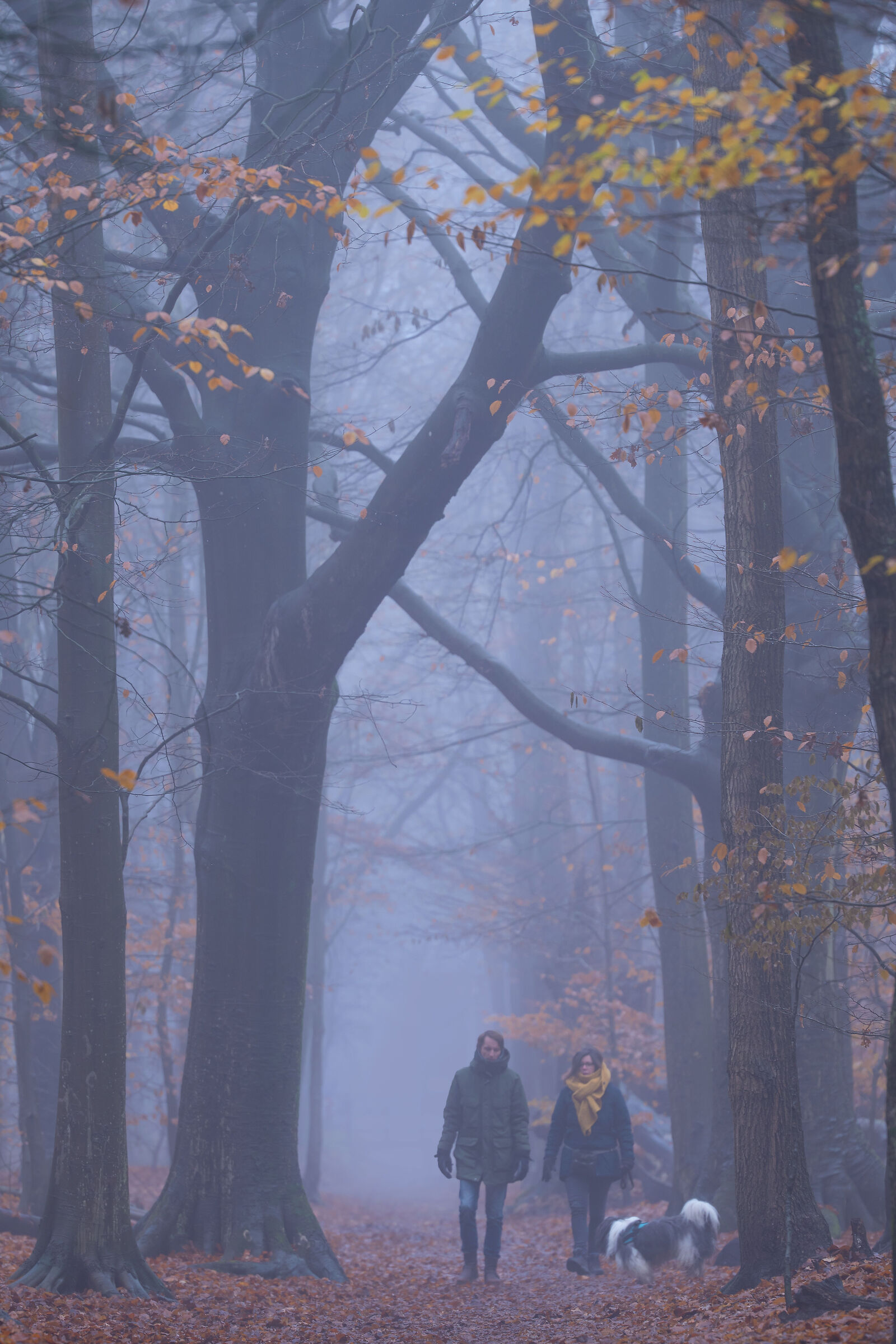 Passeggiata mattutina