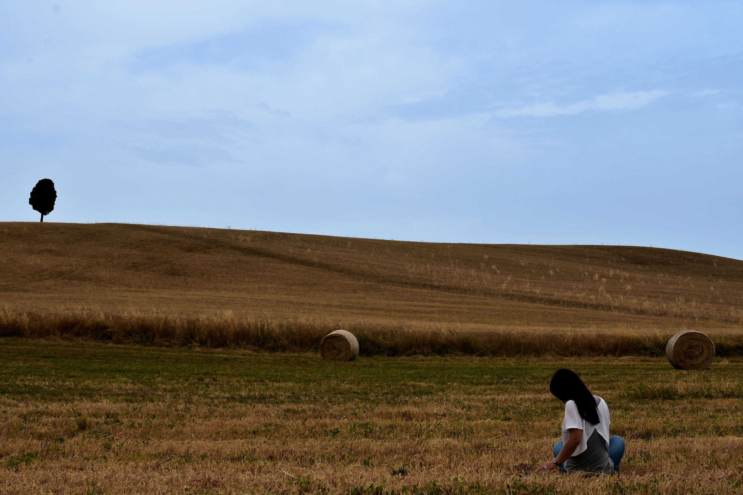 Untitled Photo