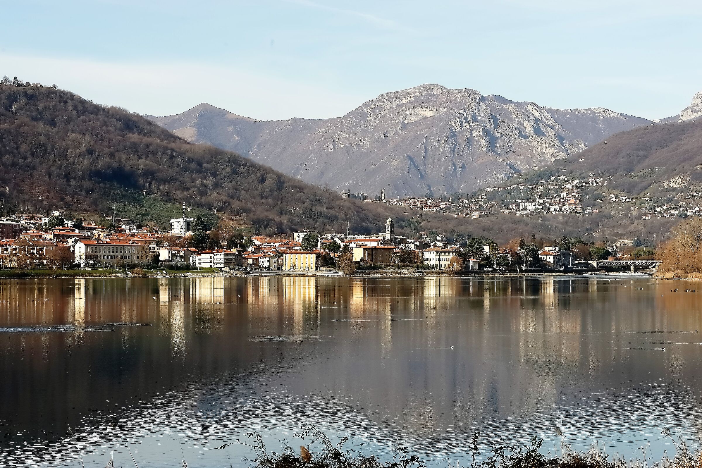 Panorama 14 gennaio 2023