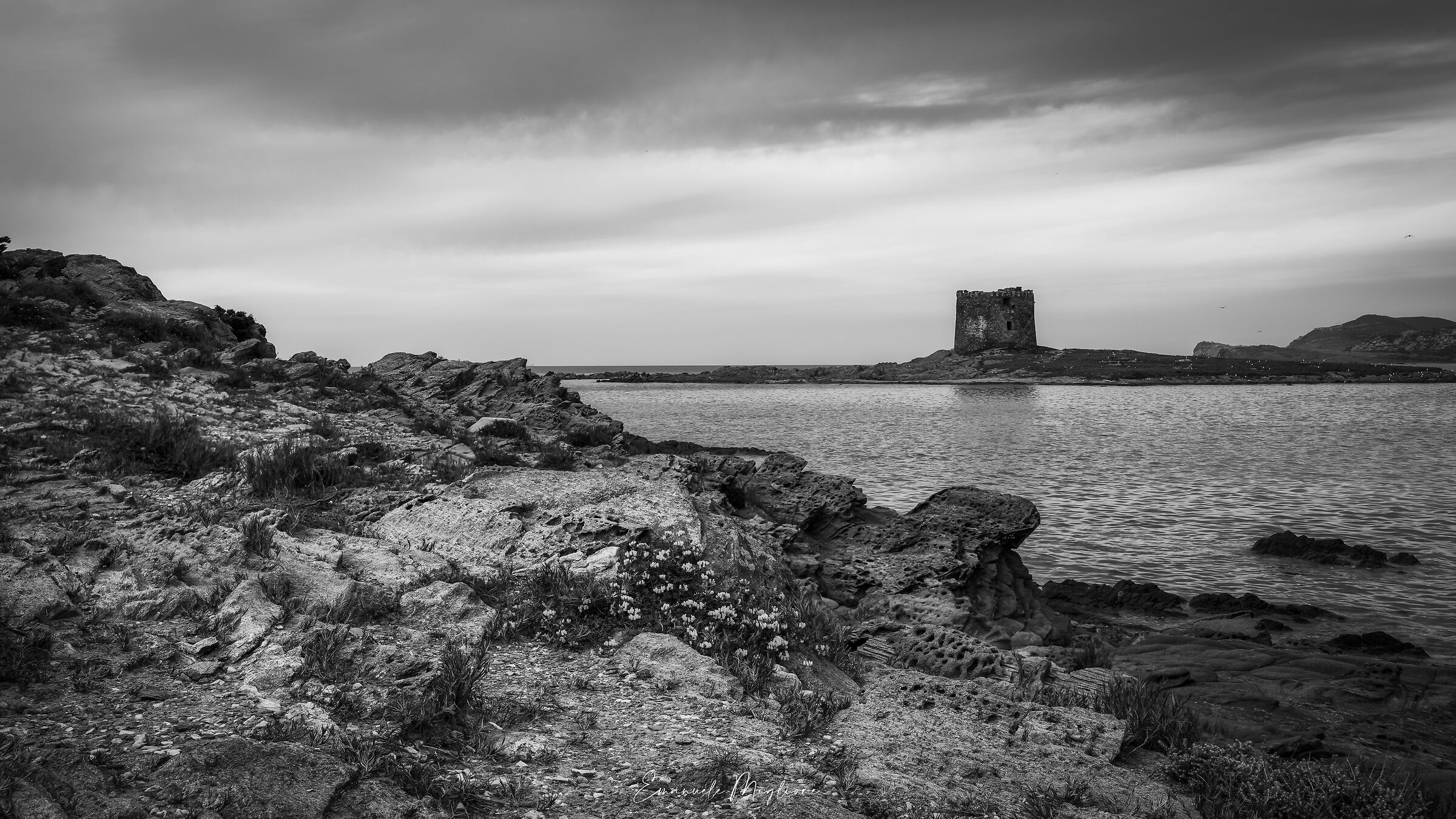 La Pelosa - Stintino (ss)