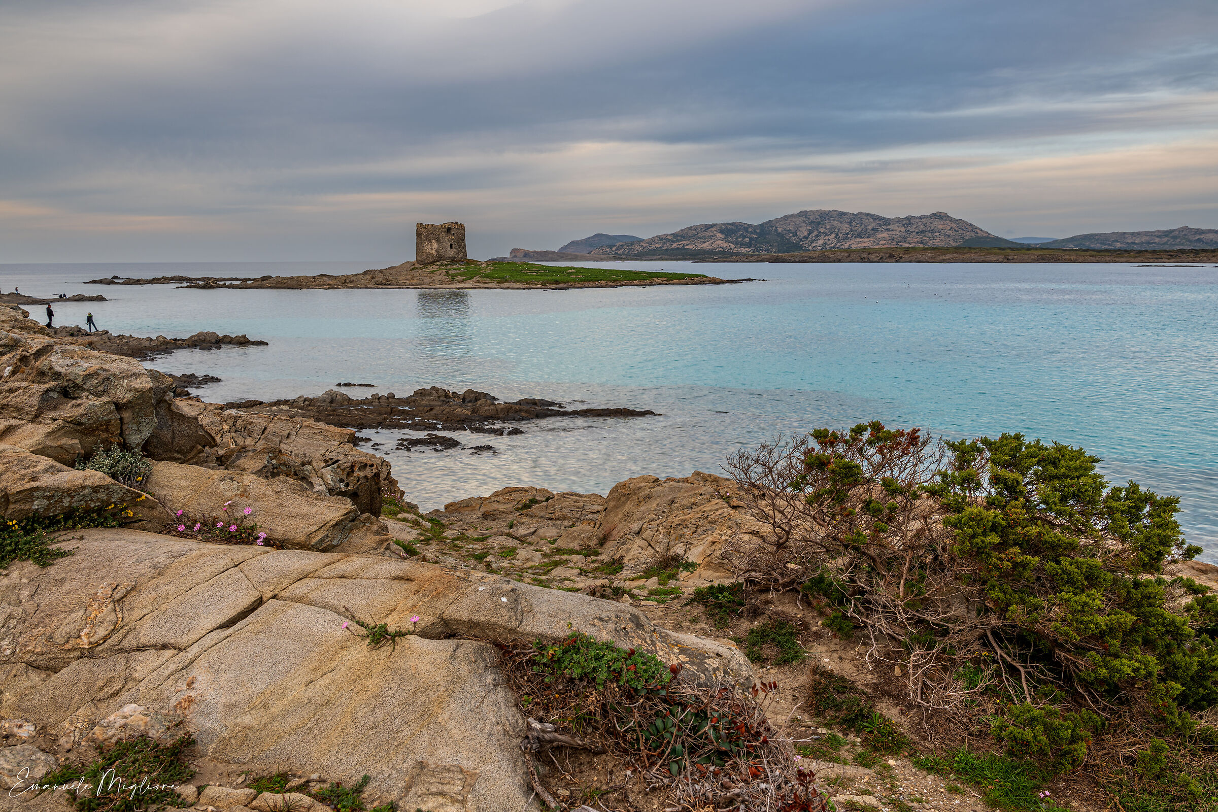 La Pelosa - Stintino (ss)