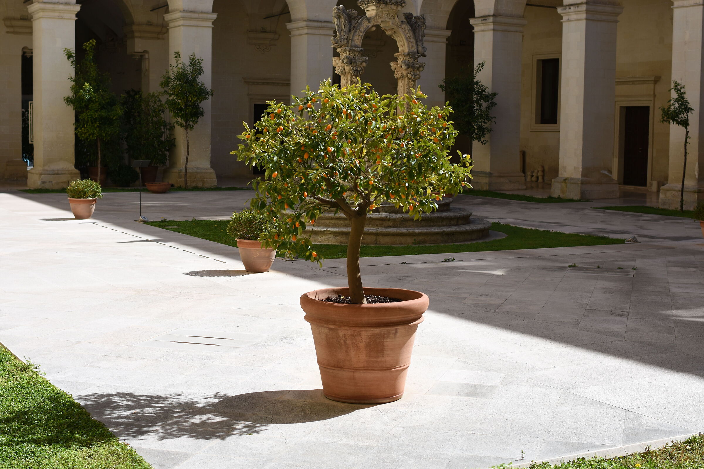 Tamron 35, 1.4 Di Usd- Nikon D 7200