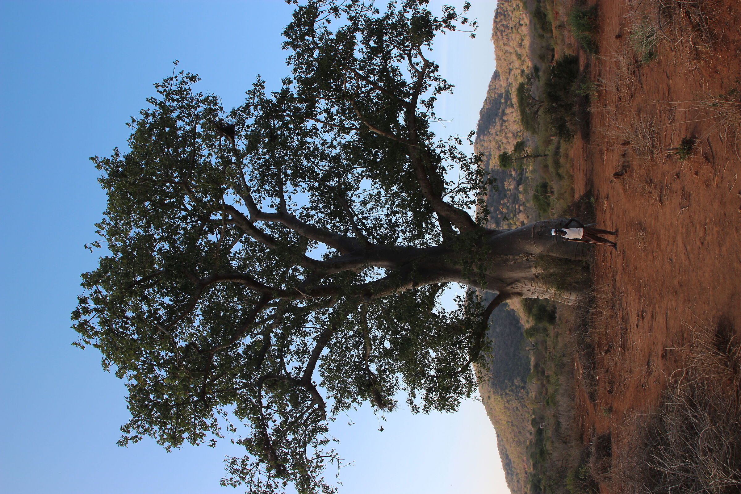 Little big man ... in a big world