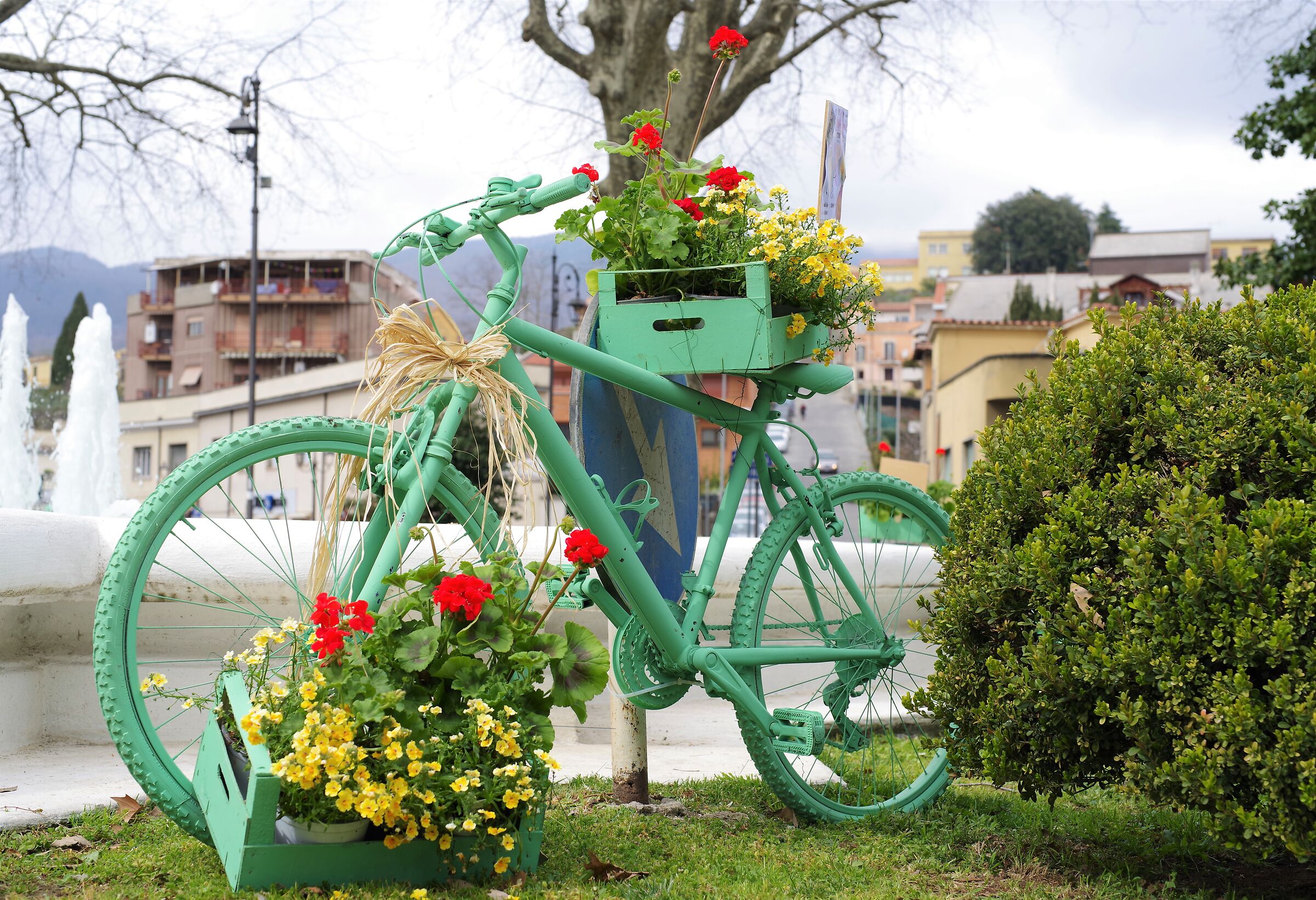 Velletri - Festa delle camelie