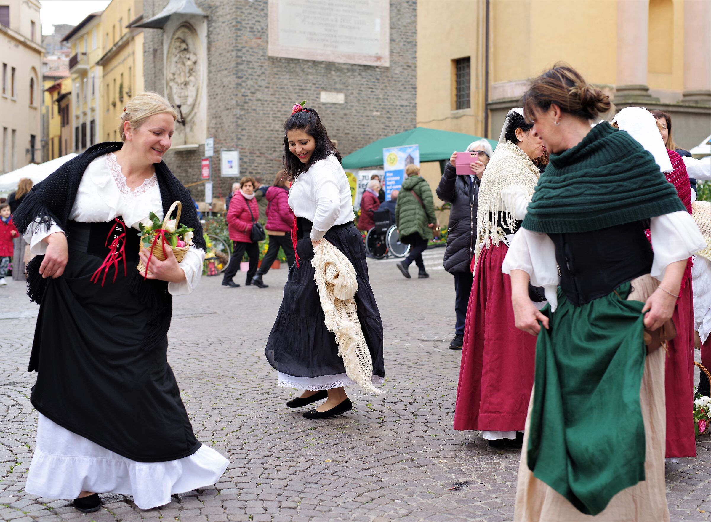 Velletri - Festa delle camelie