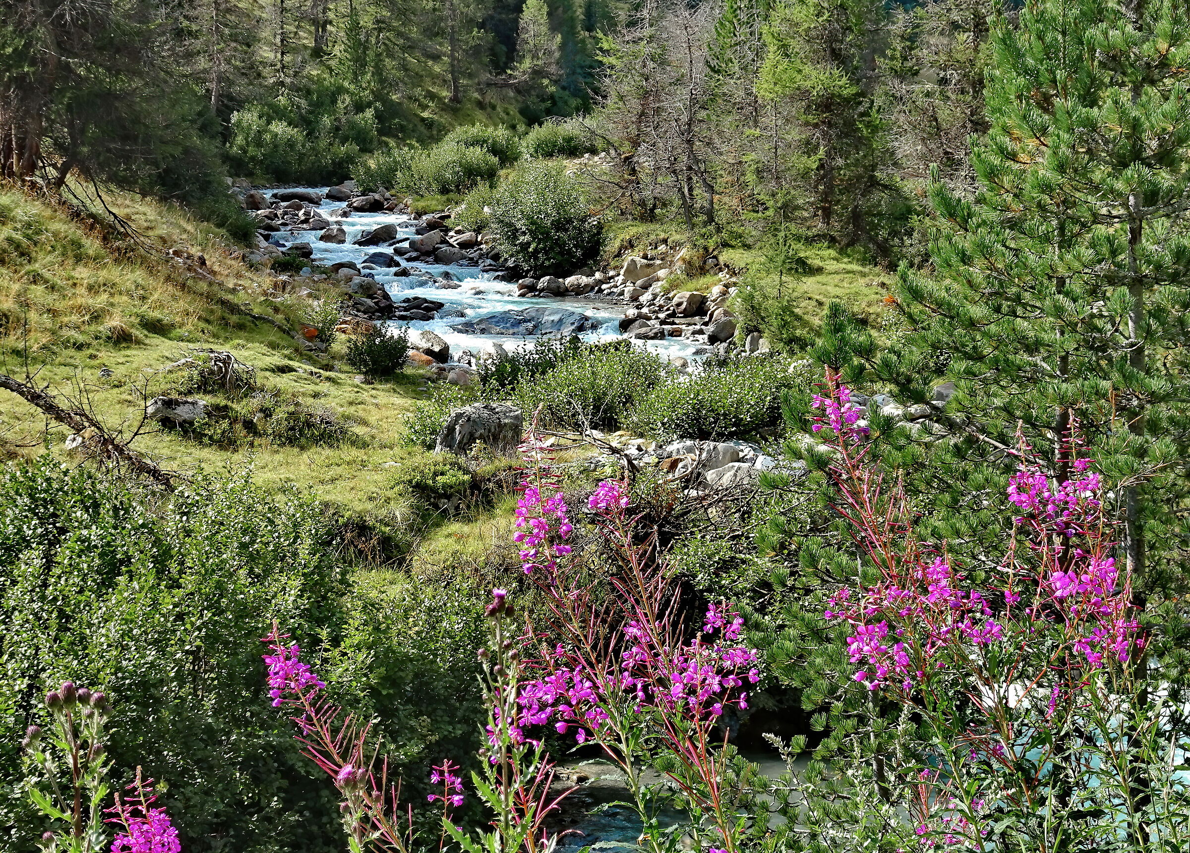 Incanto della Natura