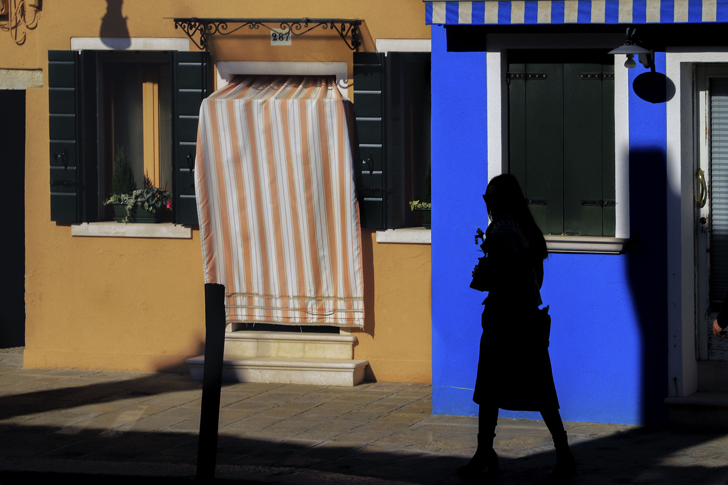 The Woman in the Shadow