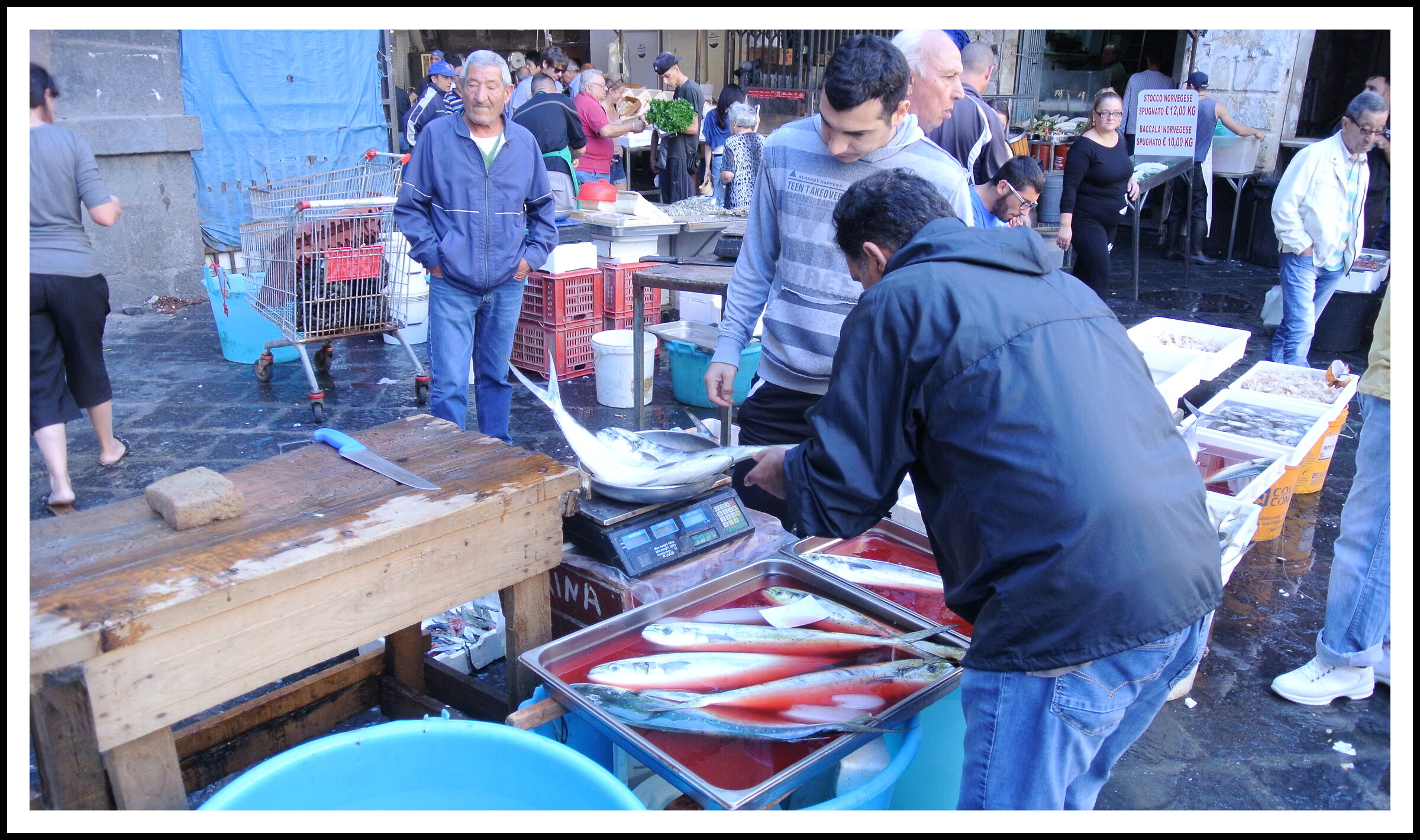Fish market 2