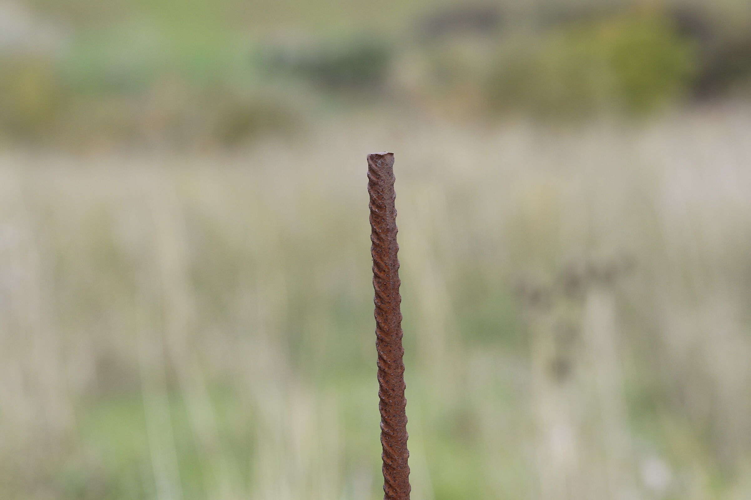 " Crop 216 ", Canon 135 F. 2 L Usm - 7d II
