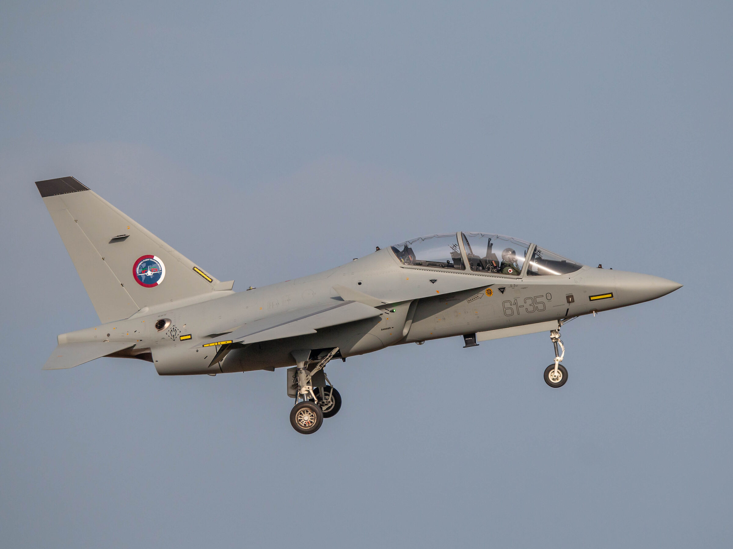 International Flight Training School