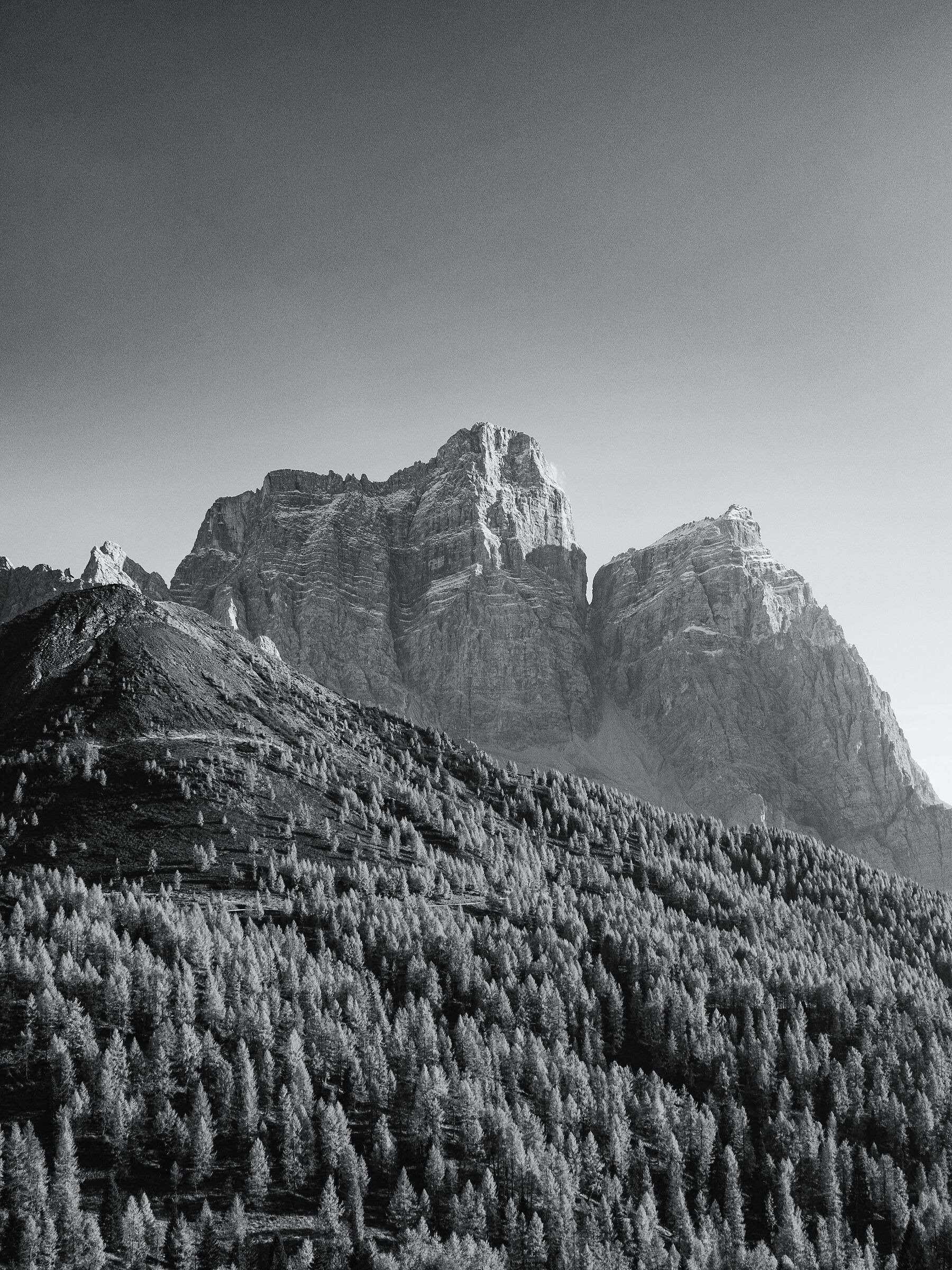 Untitled Photo