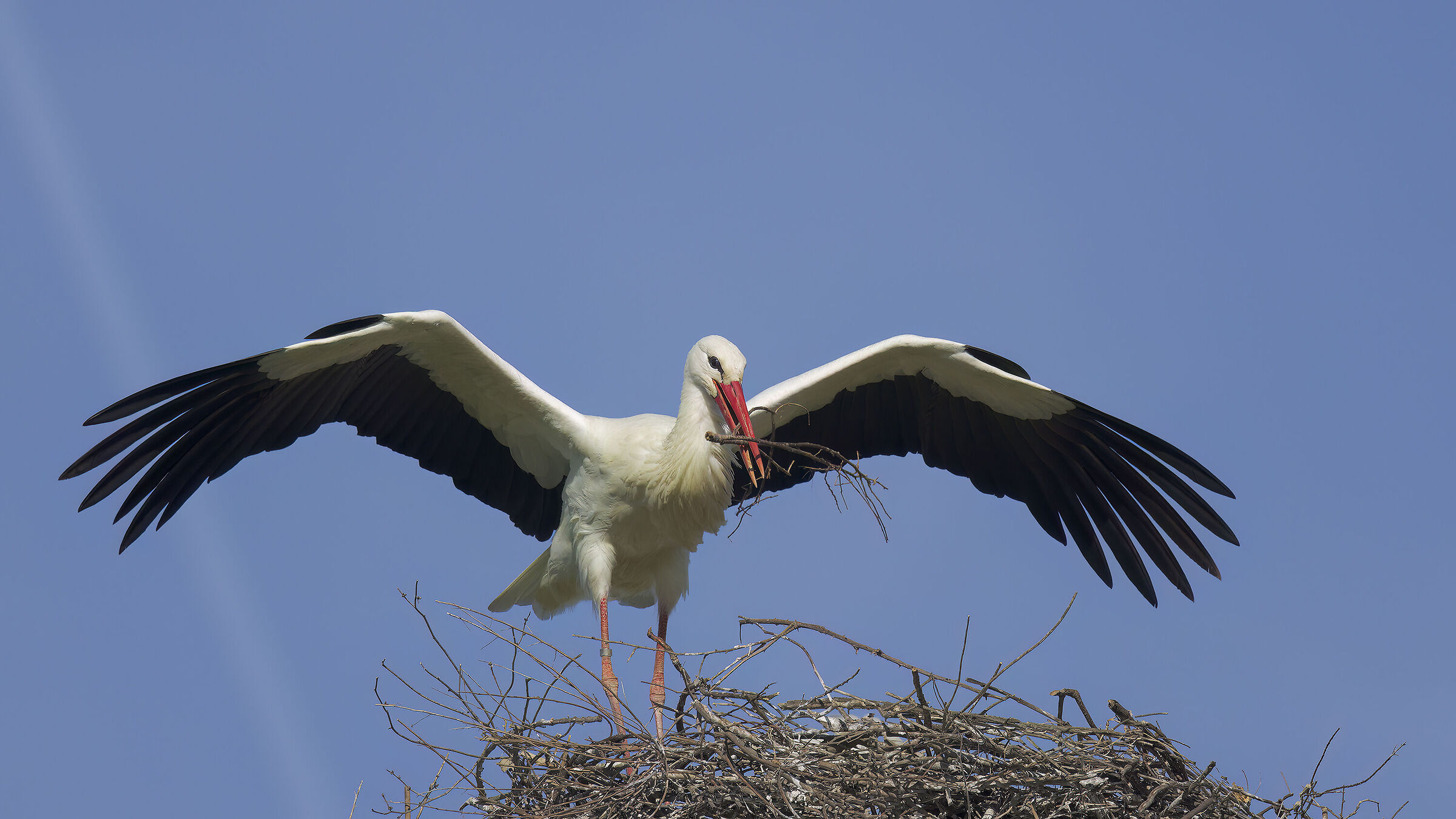 un pezzo alla volta....