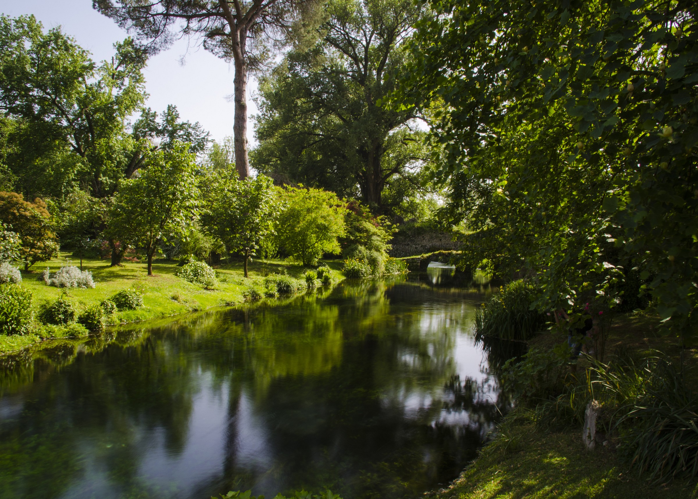 Glimpses of the bridge