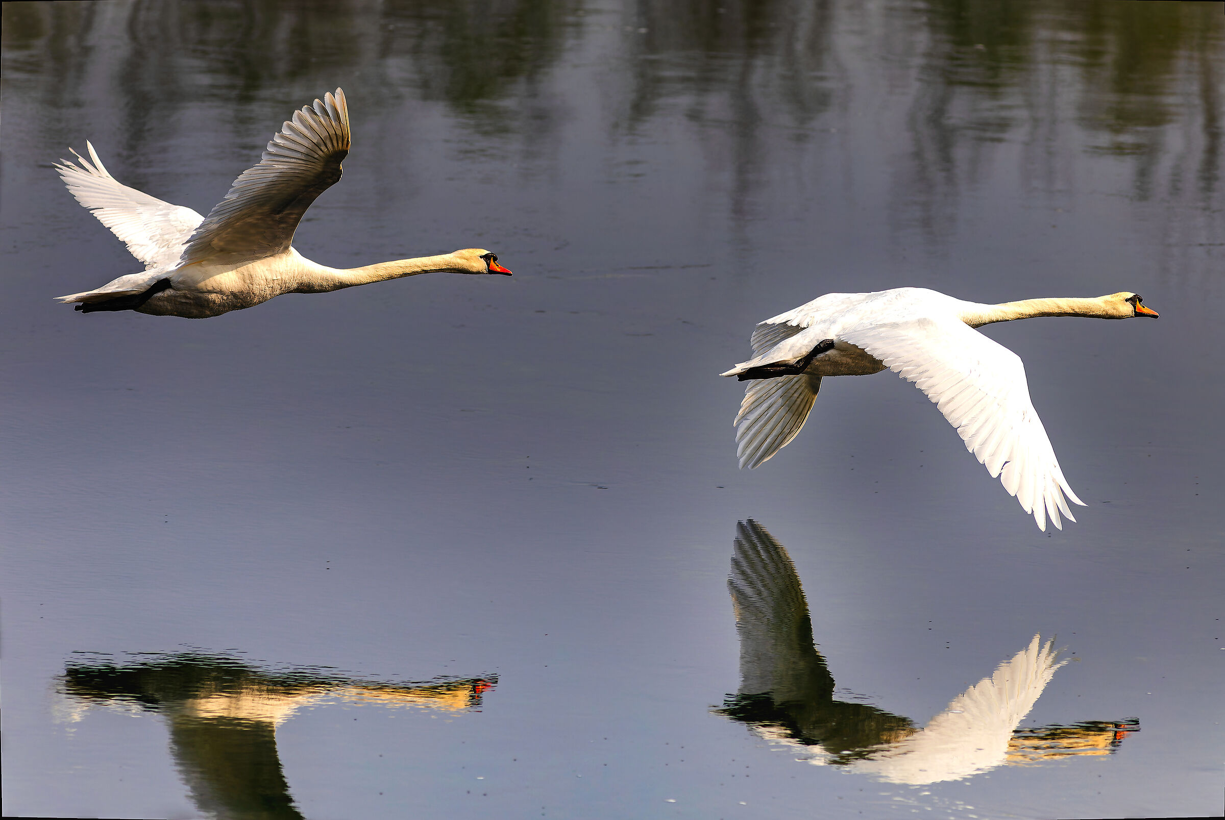 But it's a gliding flight............