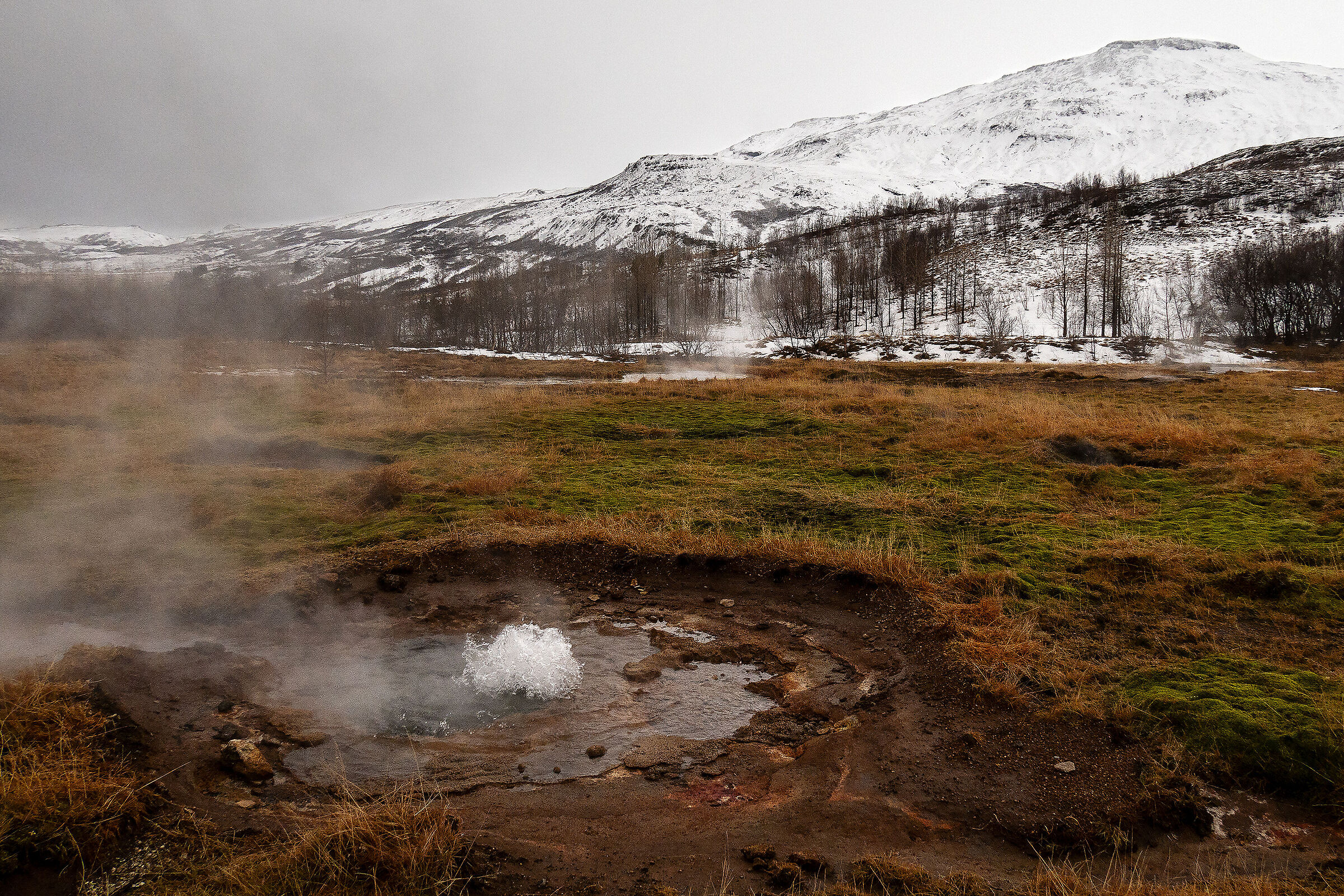 Piccoli geyser crescono