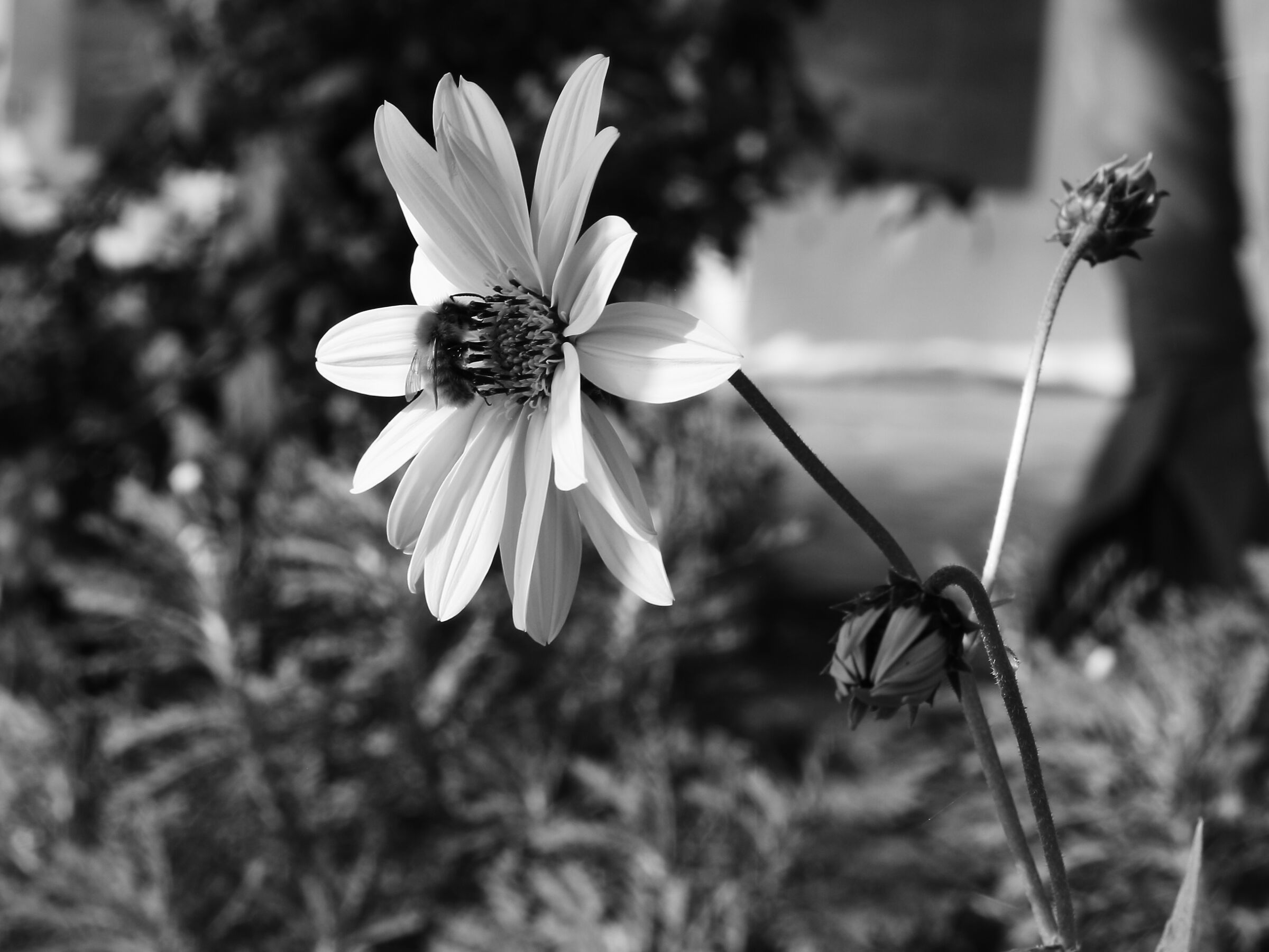 Untitled Photo