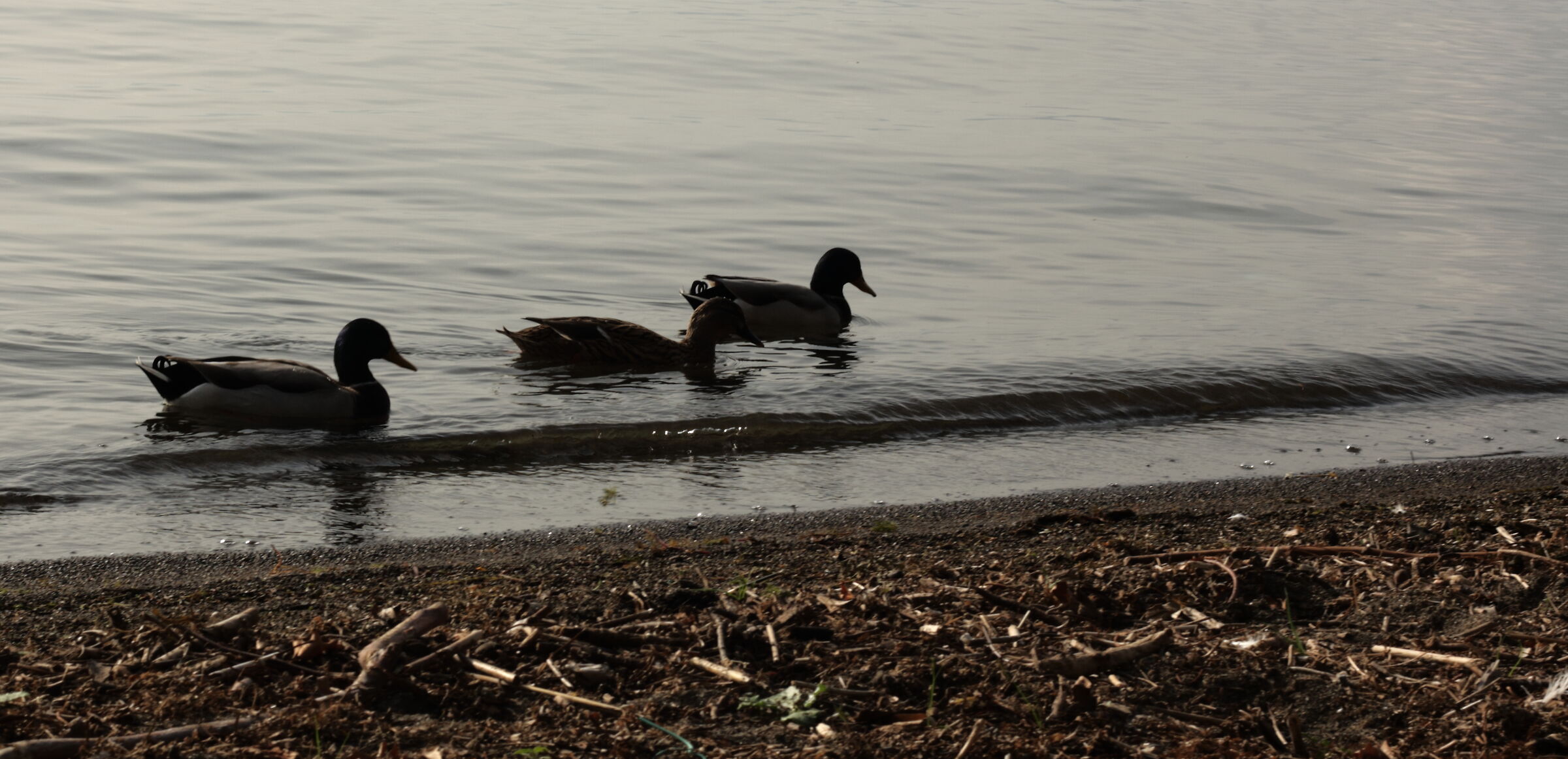 Untitled Photo