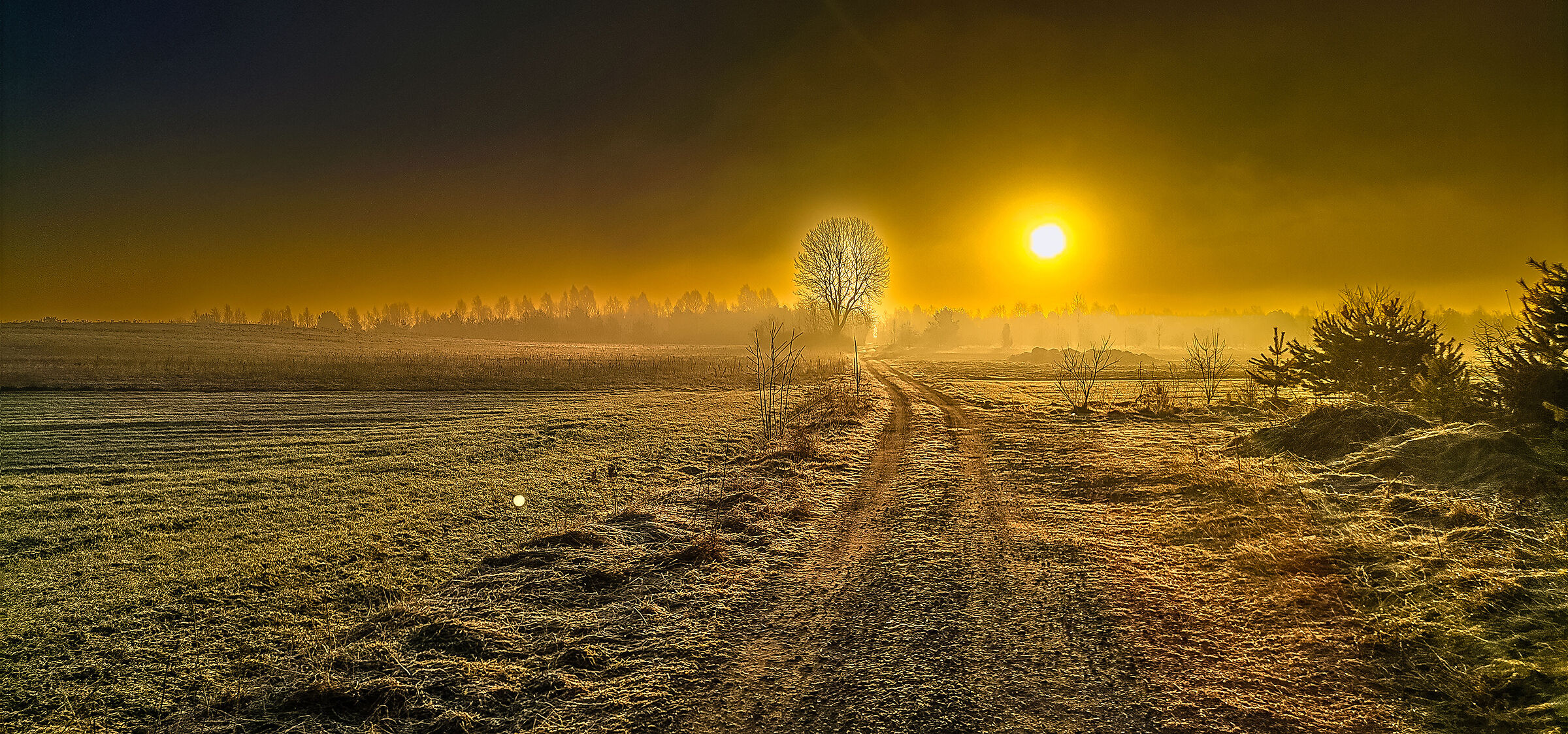 Sensazione nella nebbia