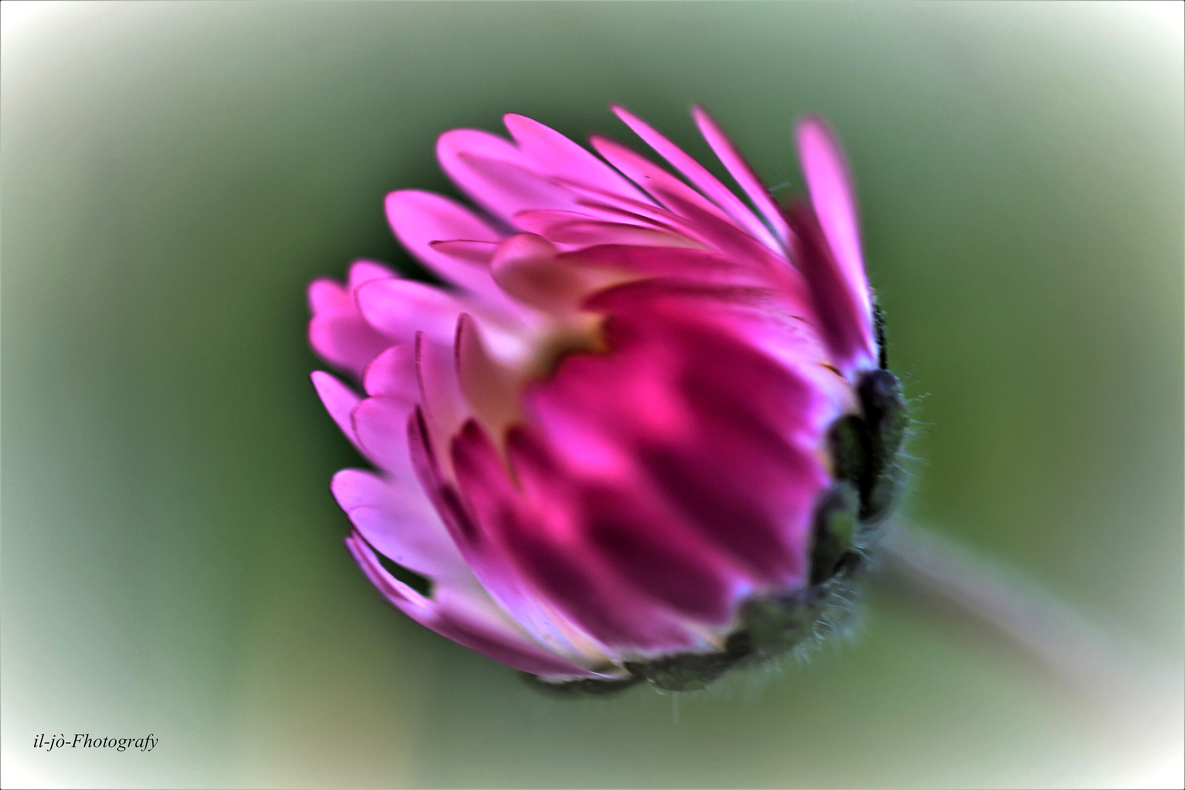 Untitled Photo