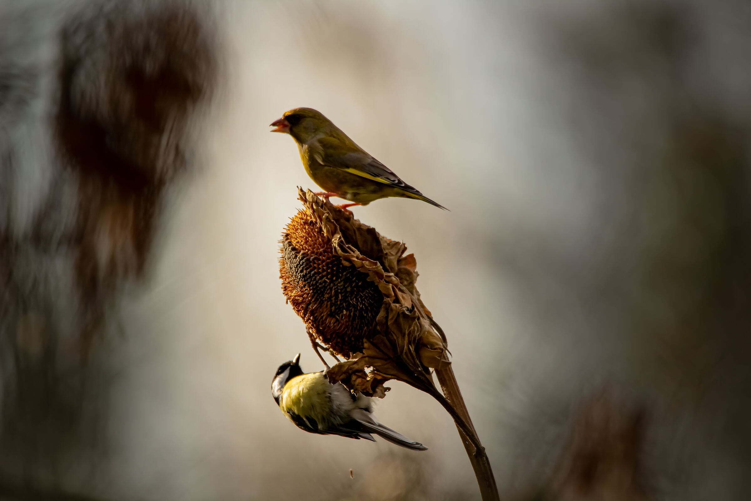 Sharing