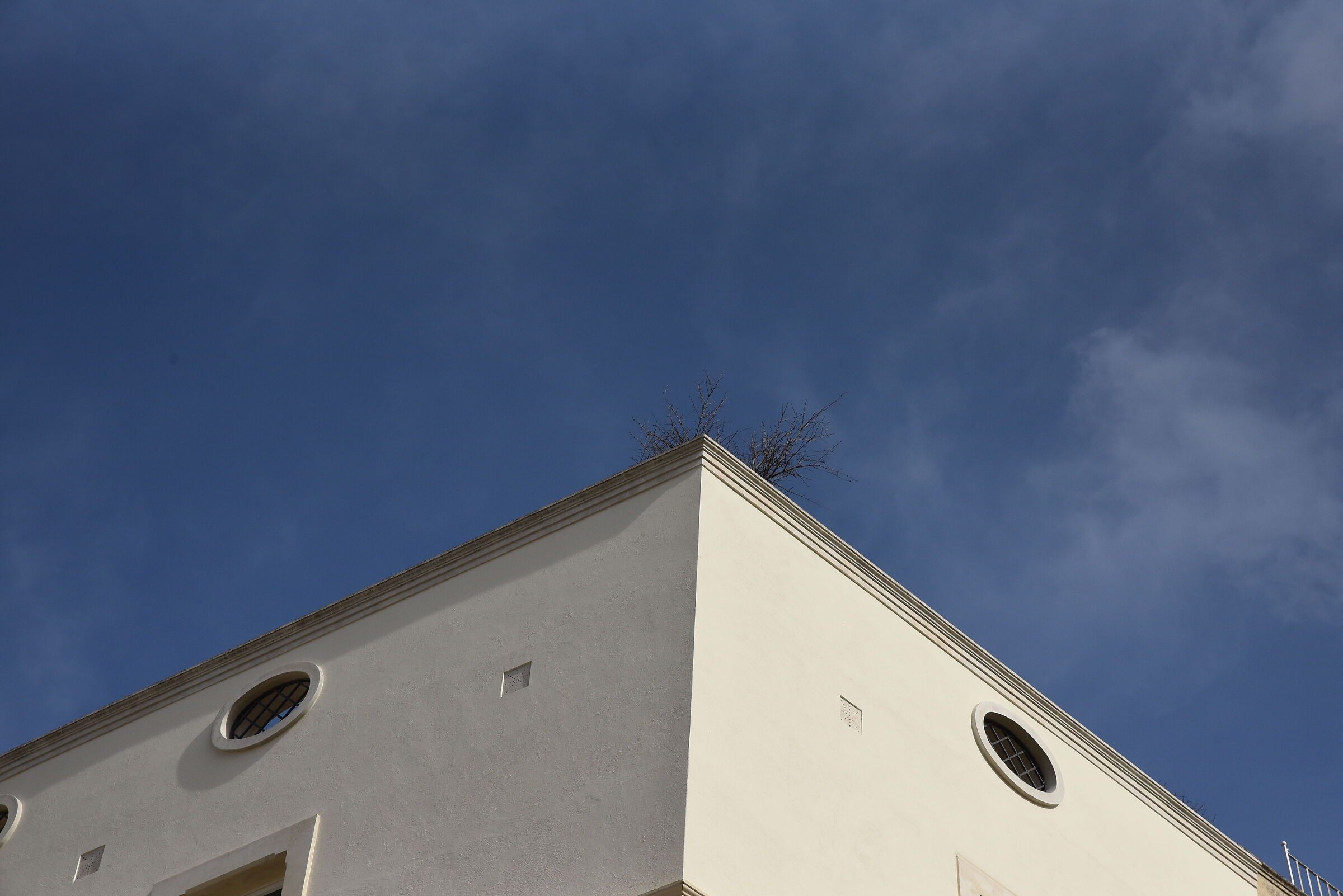 @70,"F. 11", 1/4 Mila, ISO Mille- Nikon 24-70 F. 2...