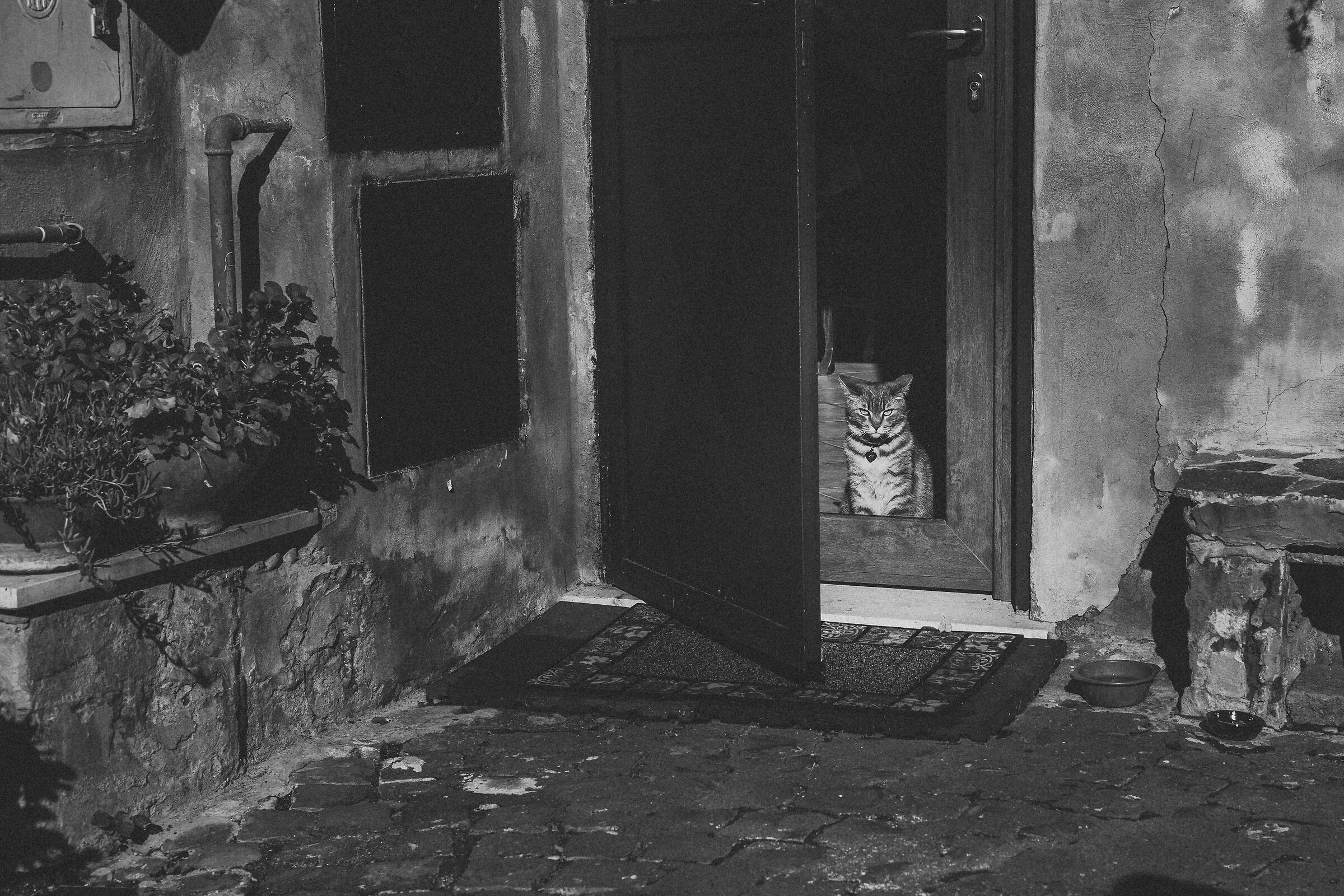 Che ti guardi? fotografo impiccione