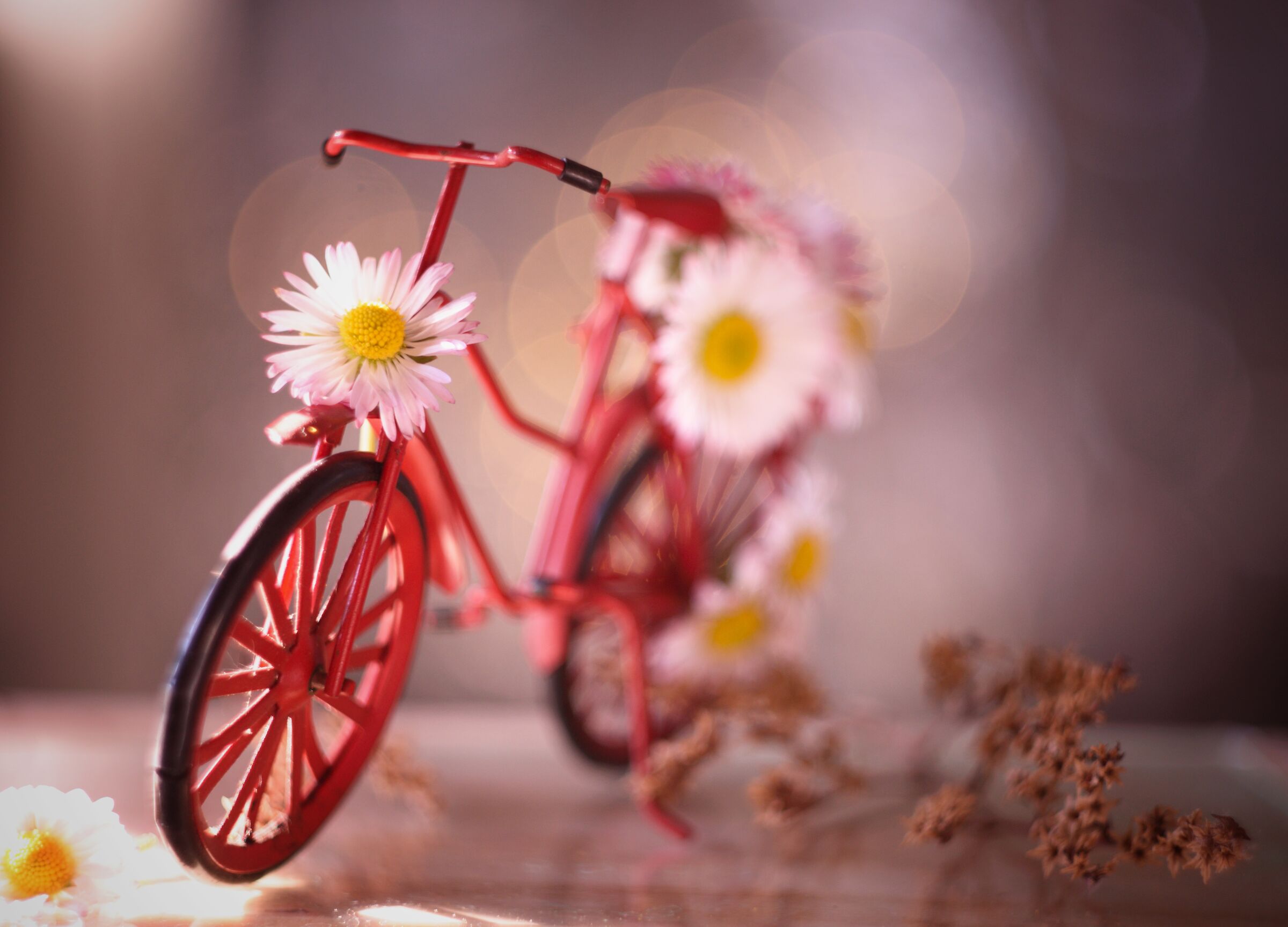 Pedaling without haste