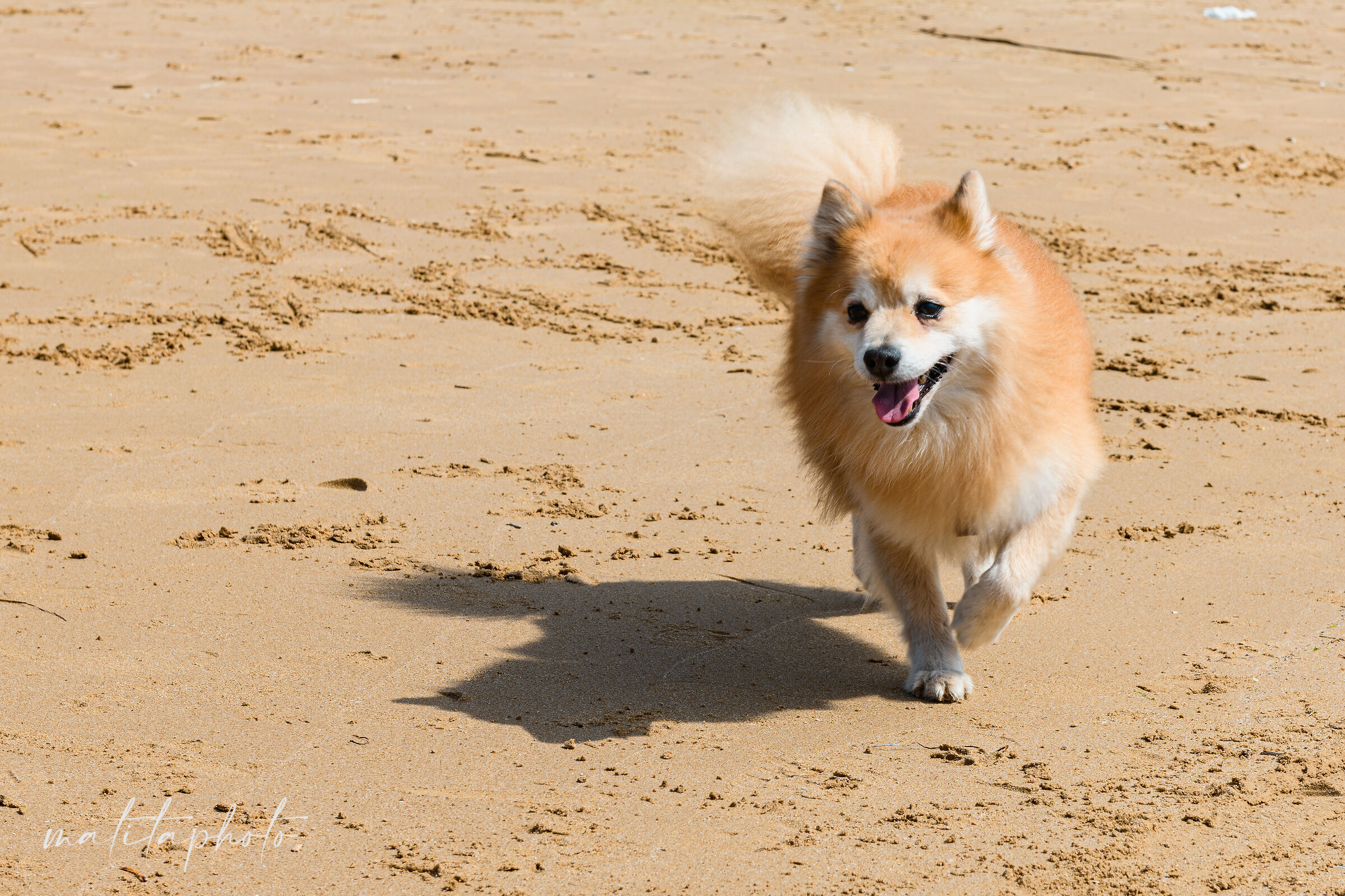 Thiago on the beach